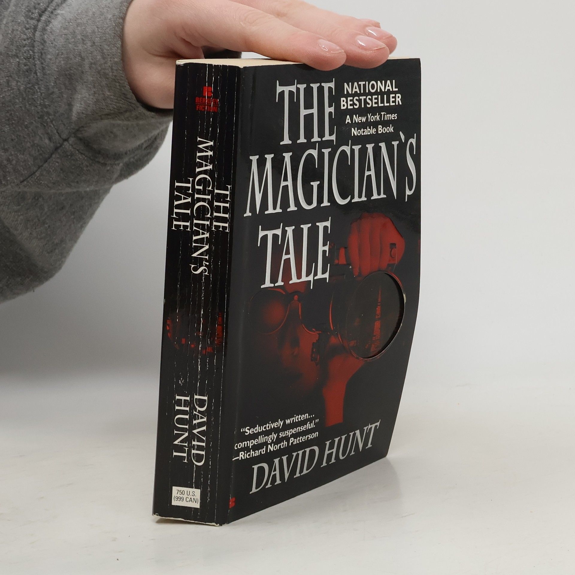 David Hunt The Magician's Tale