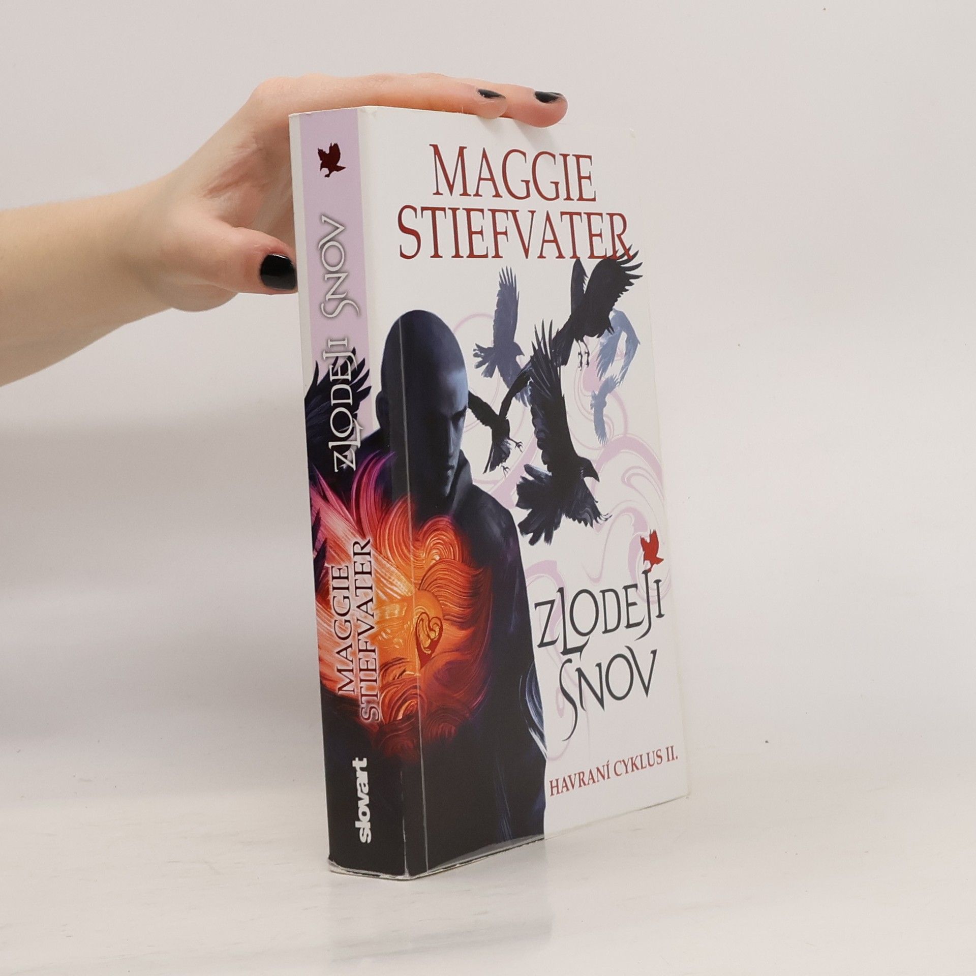 Maggie Stiefvater Zlodeji snov