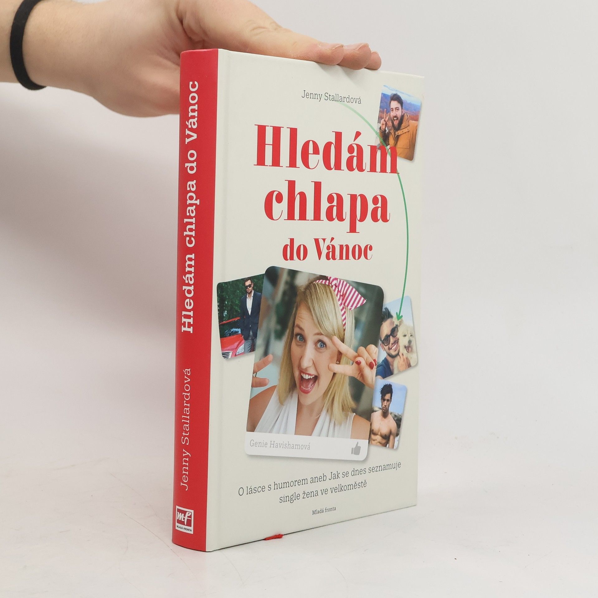 Jenny Stallard Hledám chlapa do Vánoc