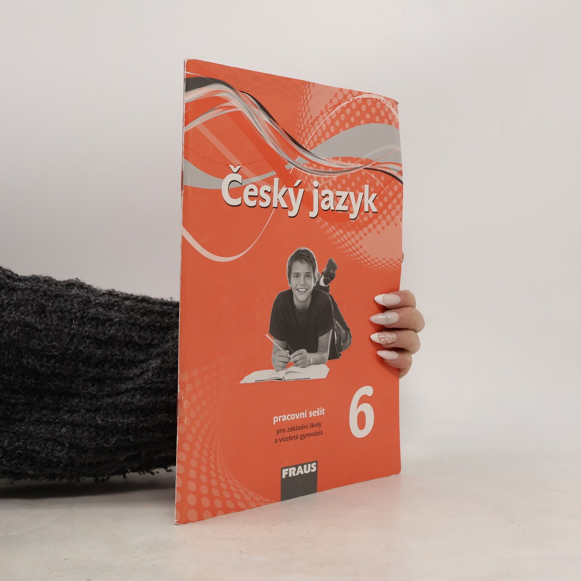 Český jazyk 6 : pracovní sešit : pro základní školy a víceletá gymnázia