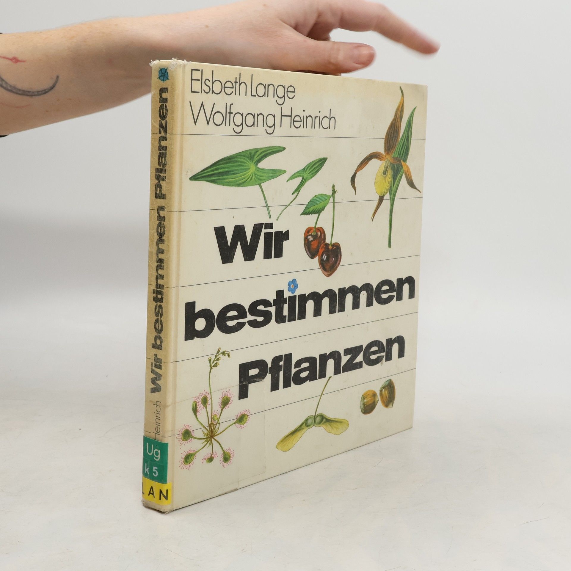 Wolfgang Heinrich Wir bestimmen Pflanzen