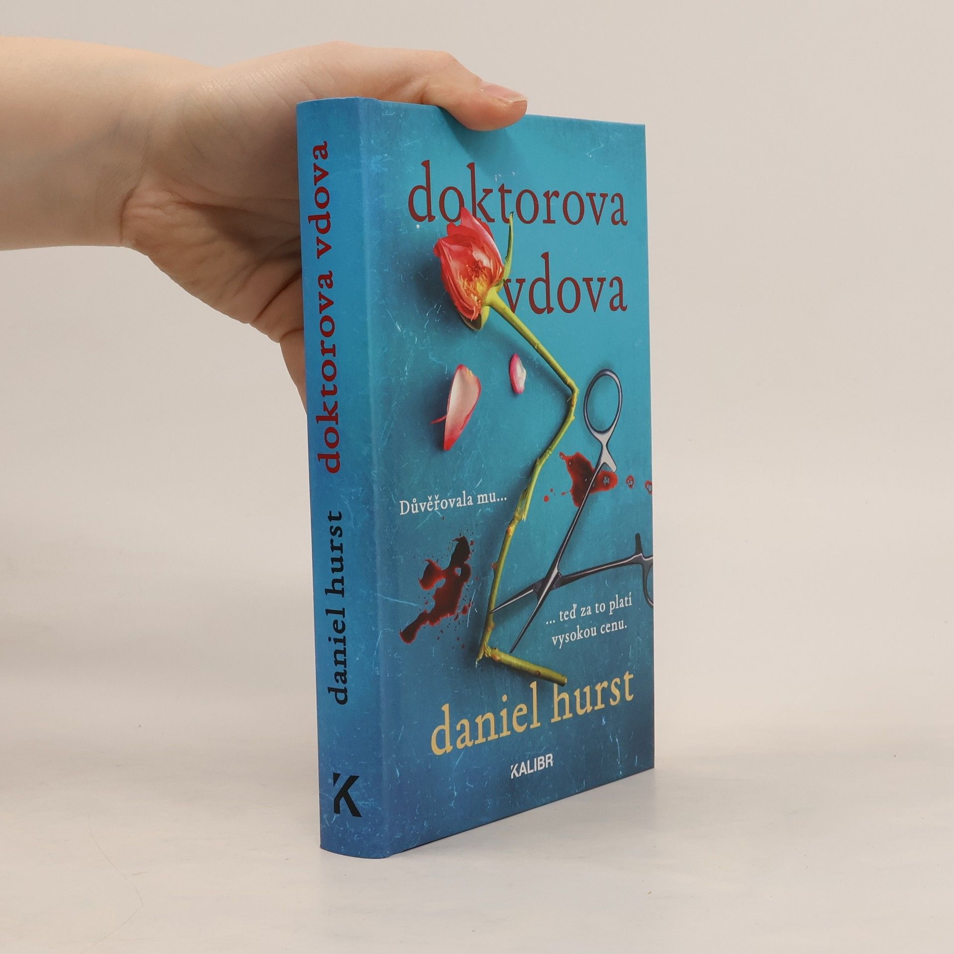 Daniel Hürst Doktorova vdova