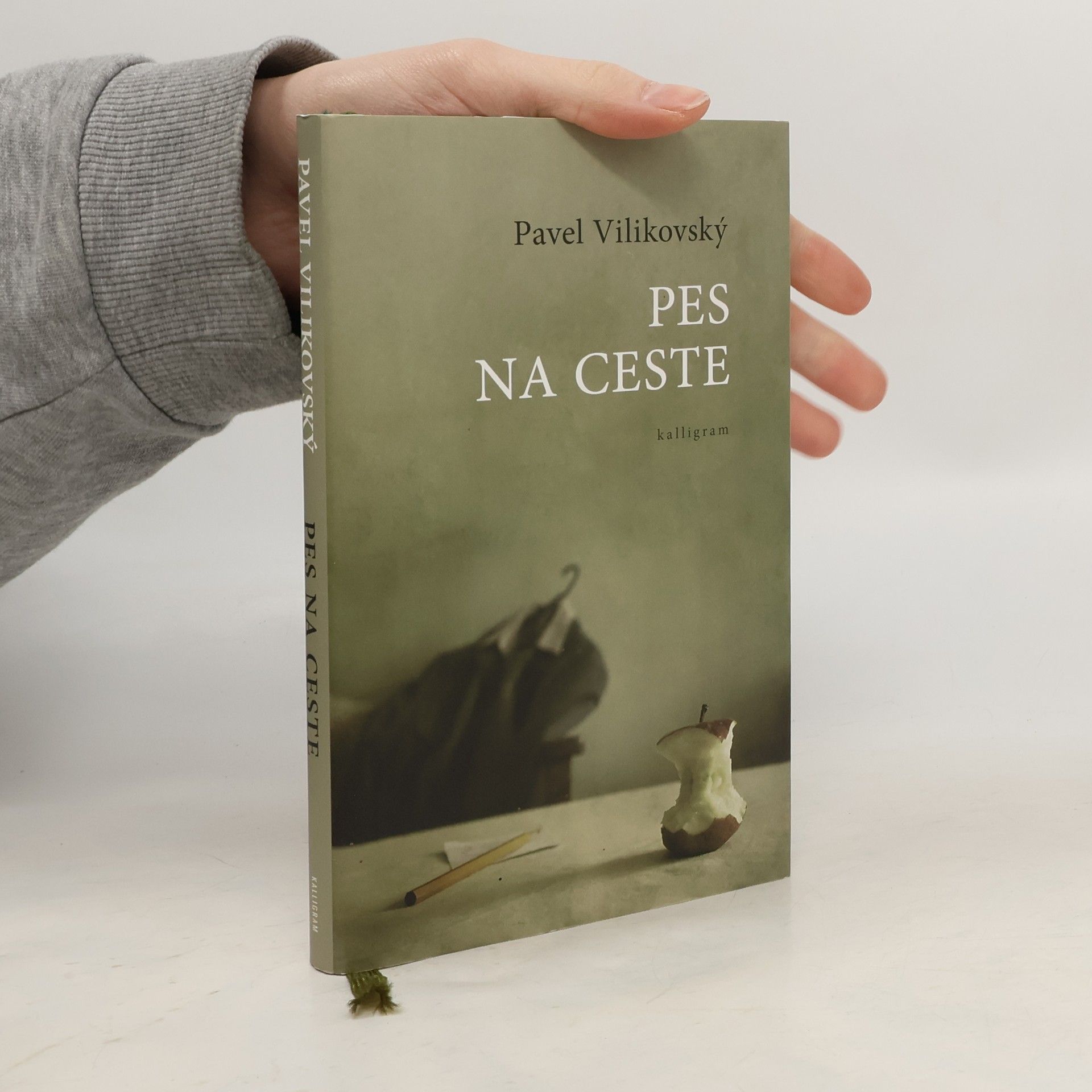 Pavel Vilikovský Pes na ceste