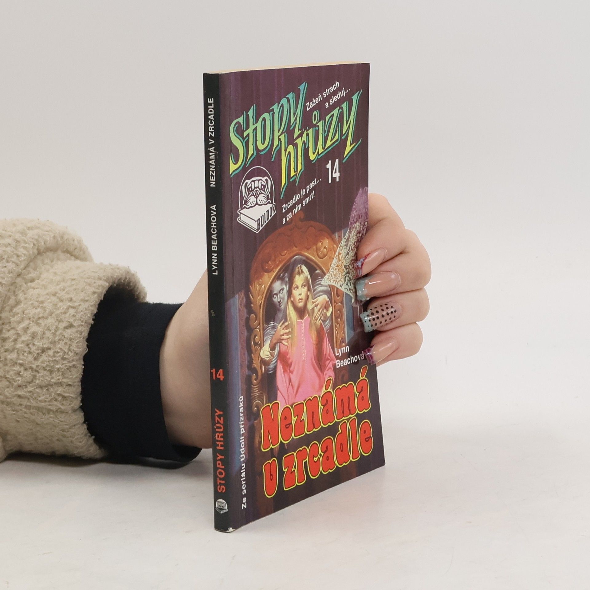 Lynn Beach Neznámá v zrcadle