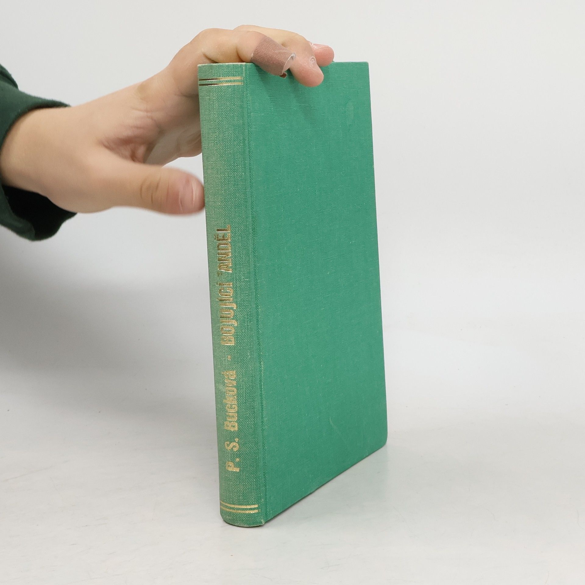 Pearl S. Buck Bojující anděl