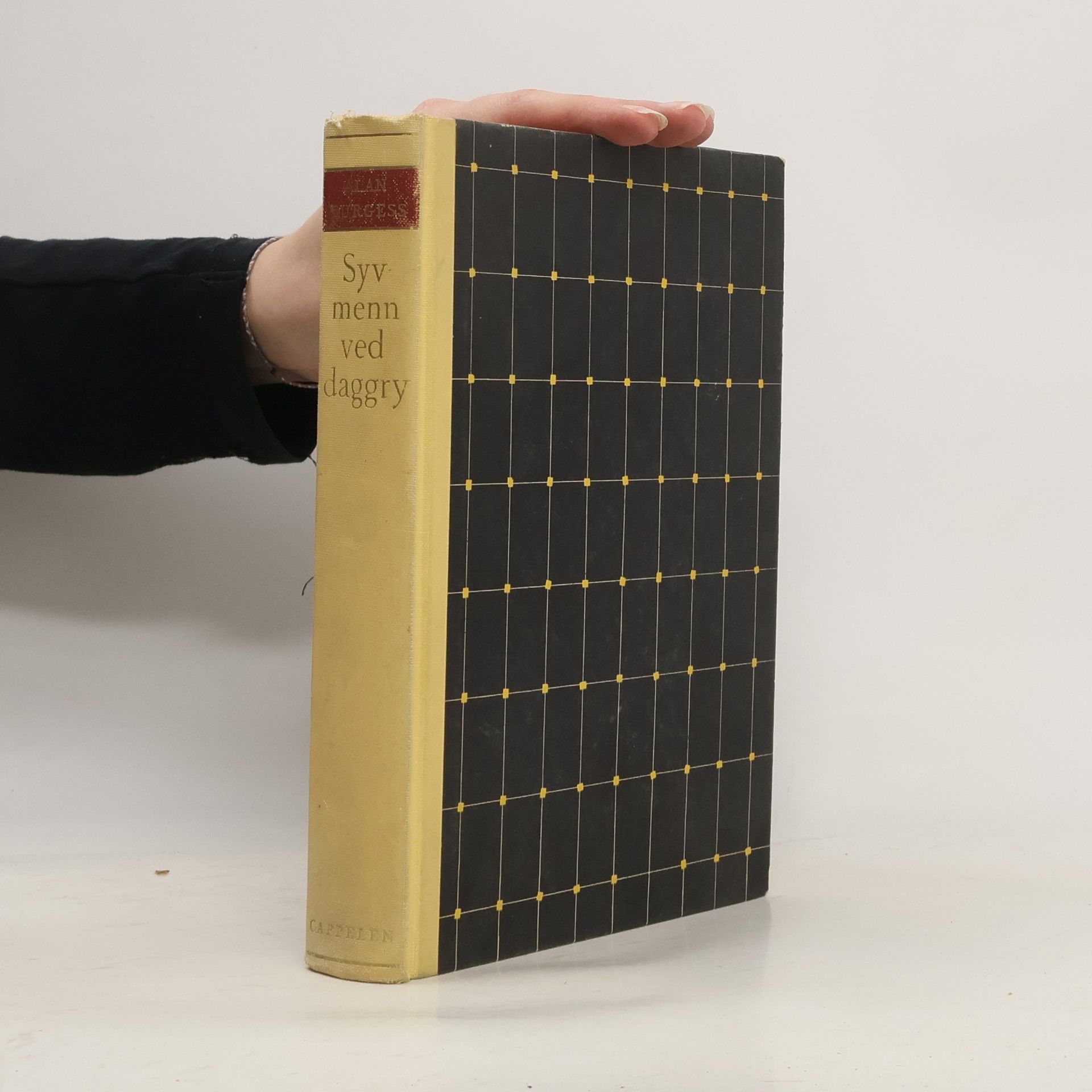 Alan Burgess Syv menn ved daggry