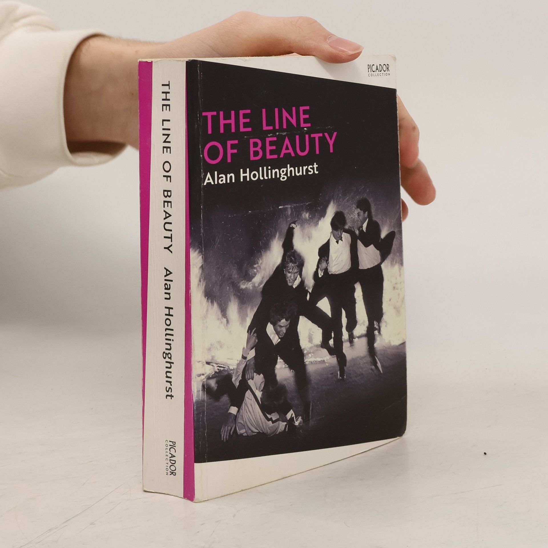 Alan Hollinghurst The Line of Beauty