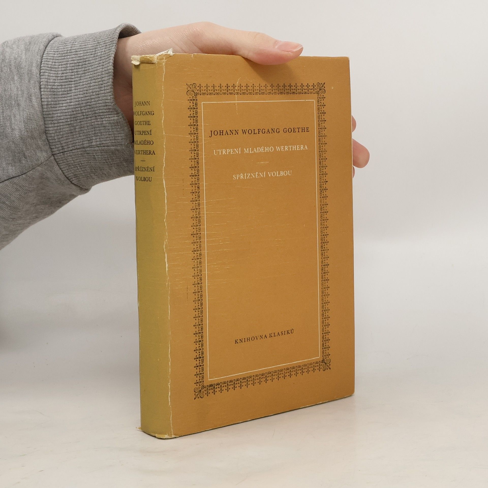 Utrpení mladého Werthera. Spříznění volbou