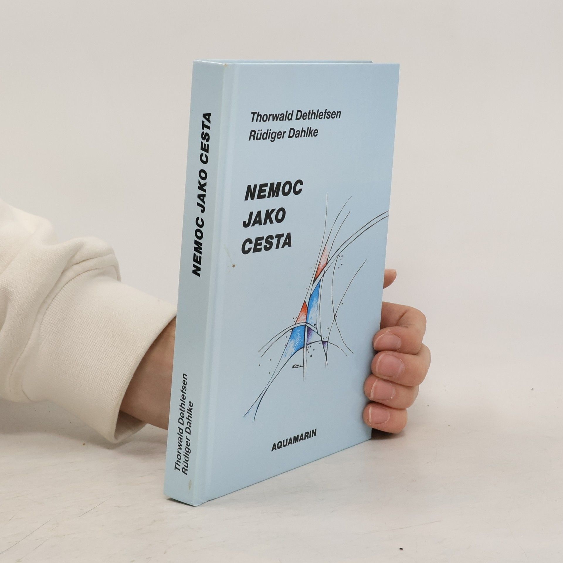 Thorwald Dethlefsen Nemoc jako cesta