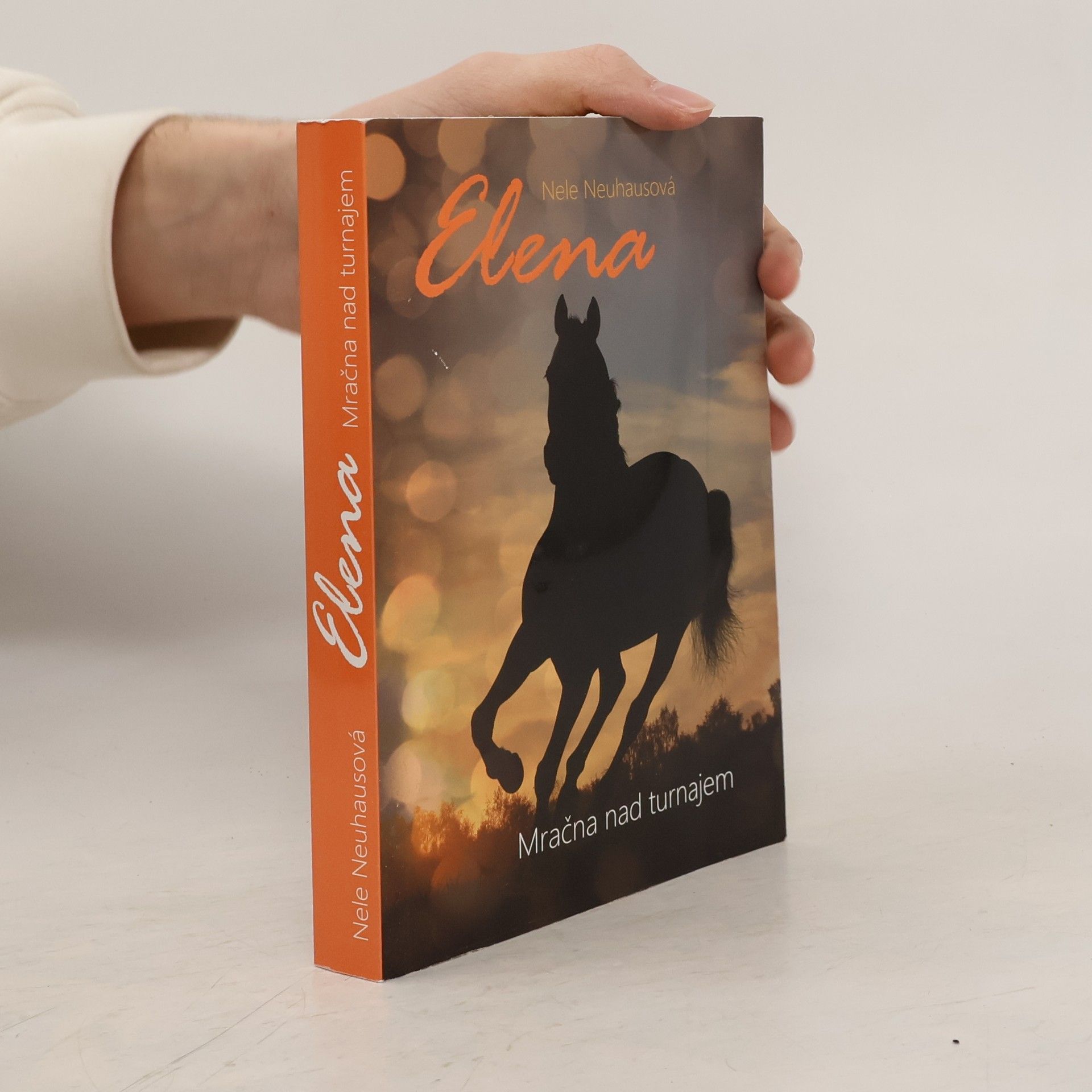 Cornelia Löwenberg Mračna nad turnajem