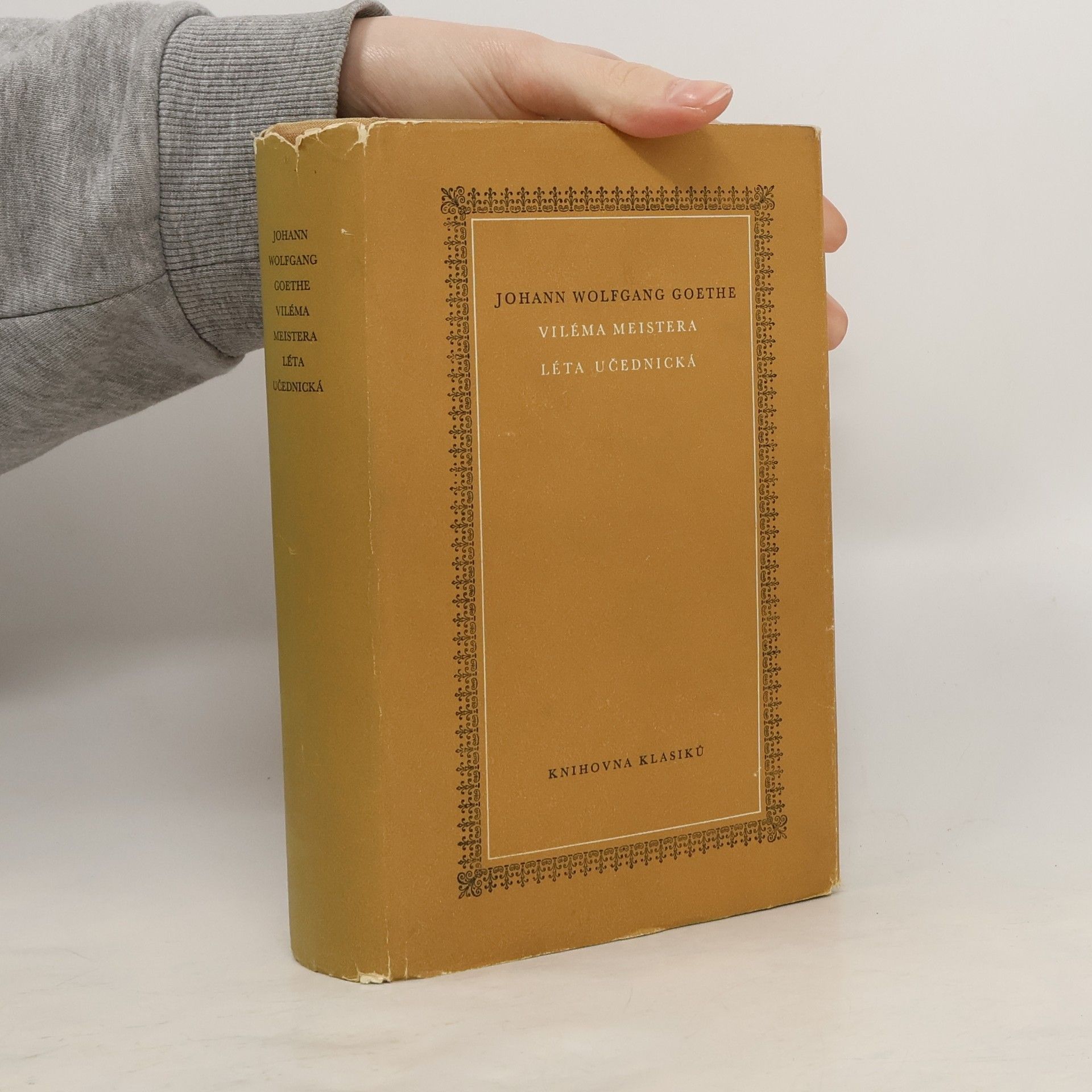 Viléma Meistera léta učednická