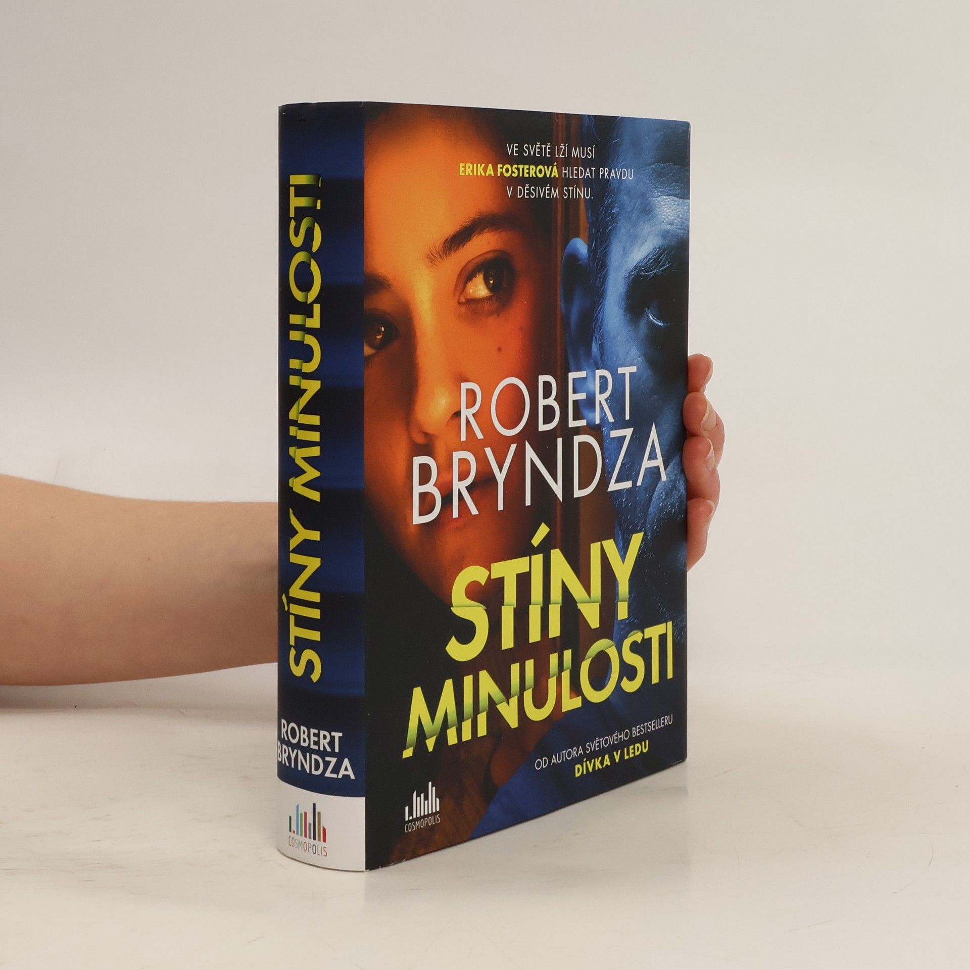 Robert Bryndza Stíny minulosti