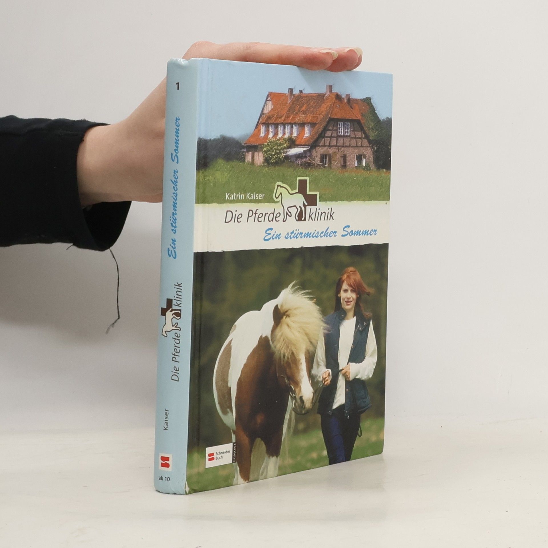 Die Pferdeklinik