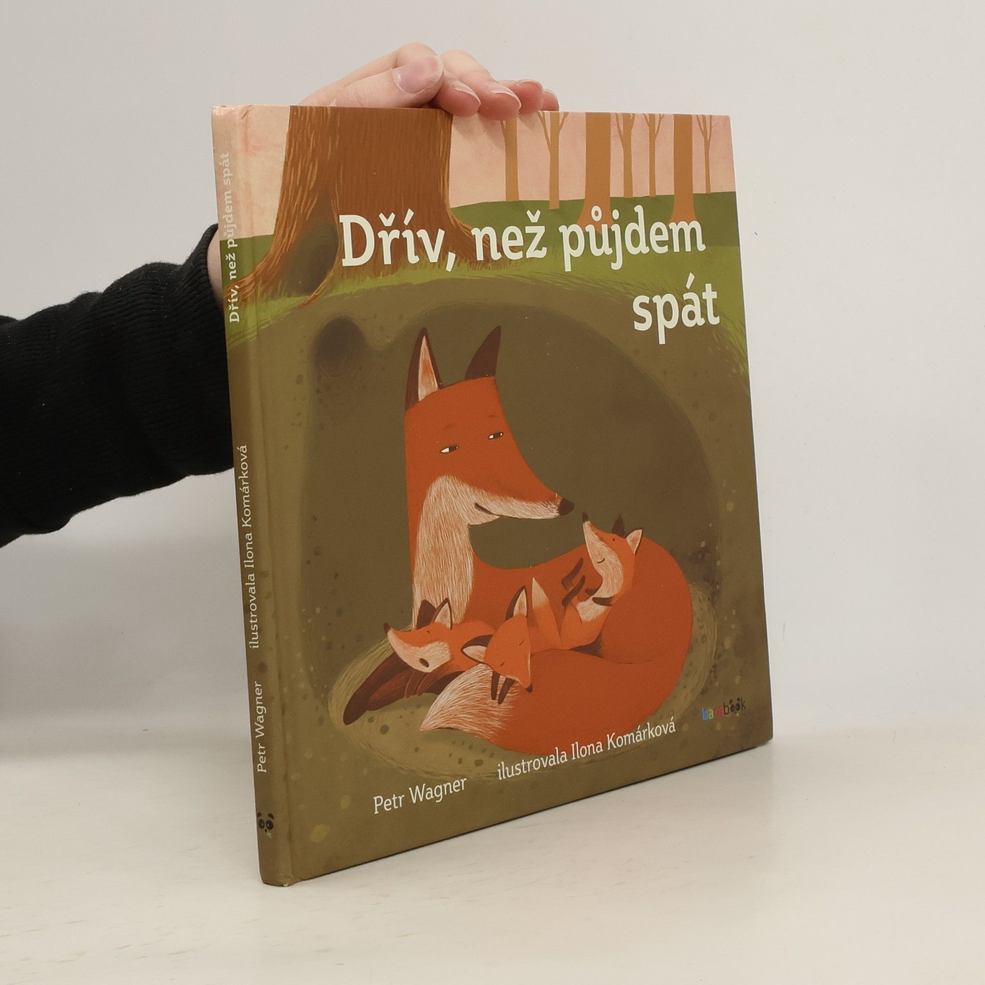 Petr Wagner Dřív než půjdem spát