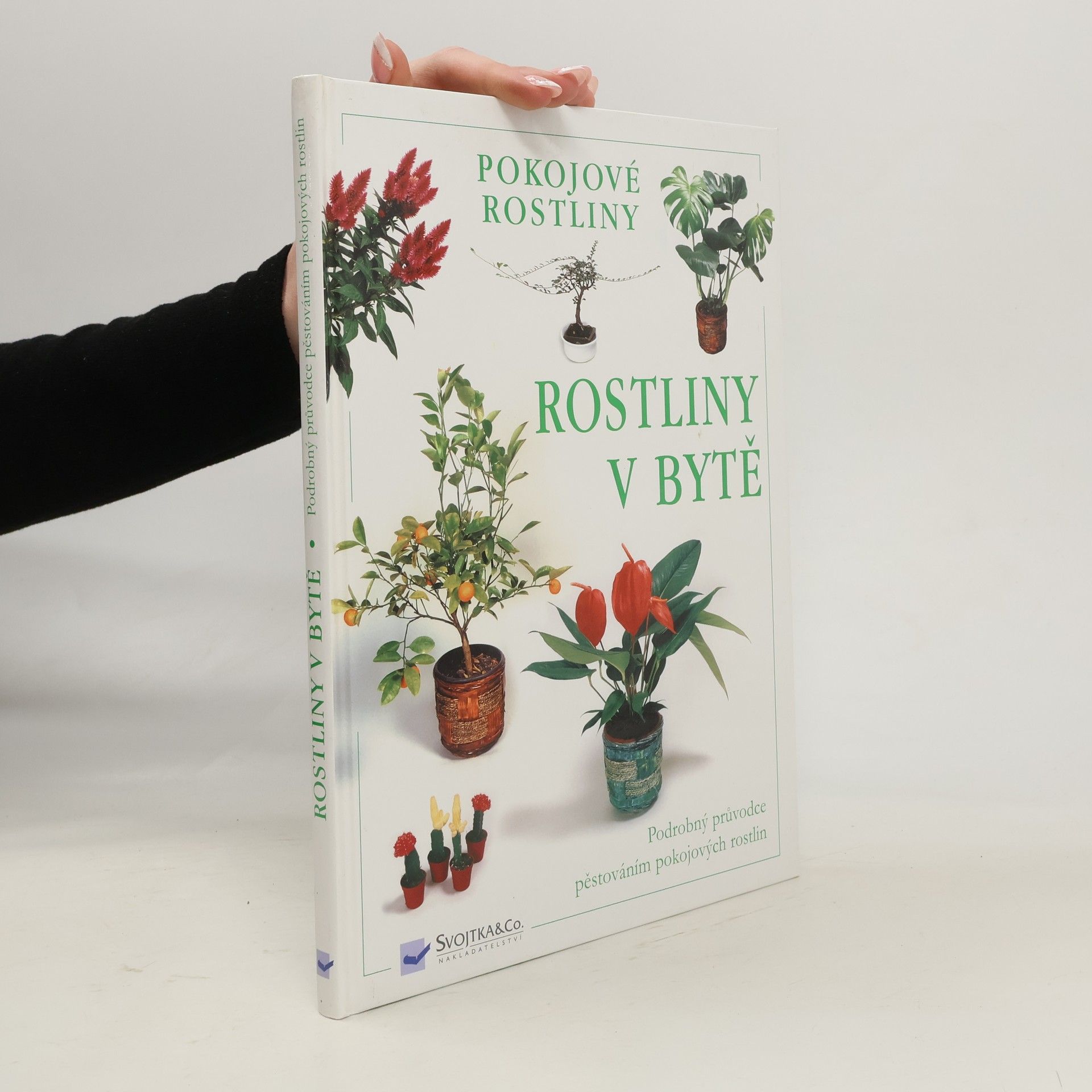 Auteurscollectief Rostliny v bytě. Pokojové rostliny