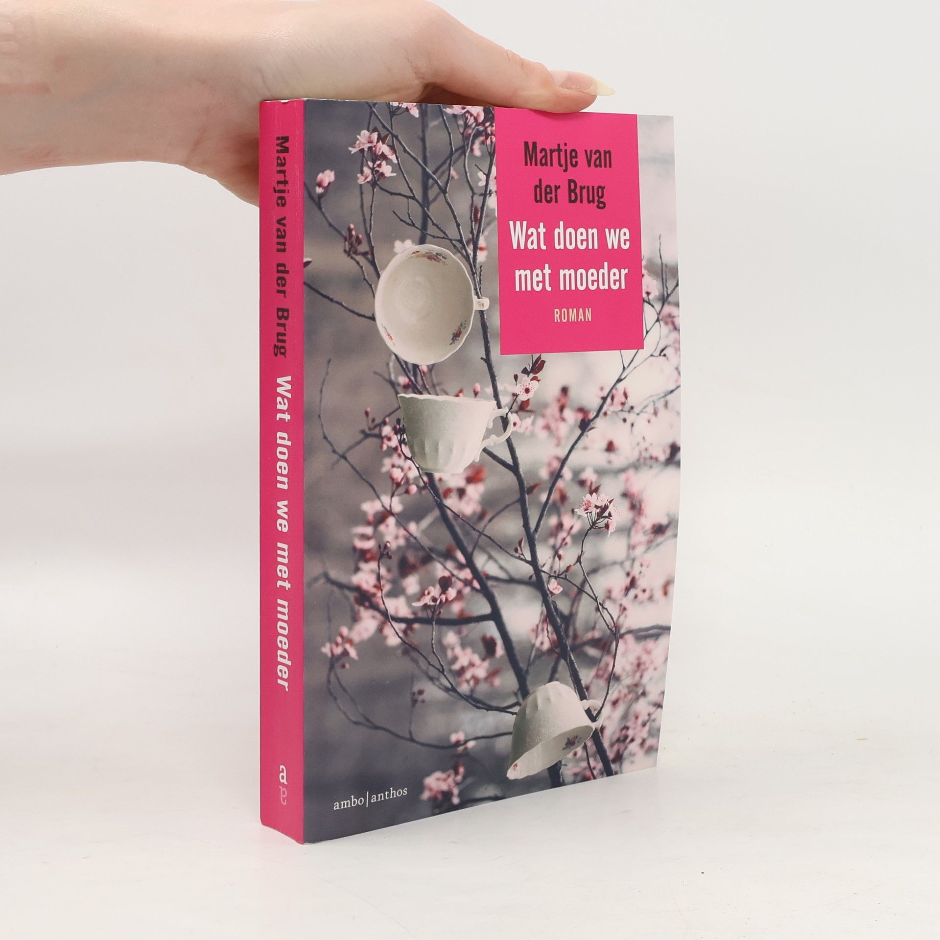 Martje van der Brug Wat doen we met moeder - druk 1