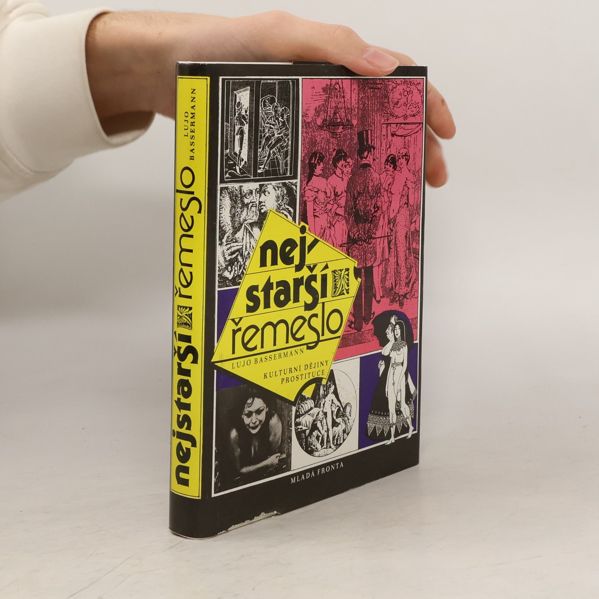 Nejstarší řemeslo : kulturní dějiny prostituce