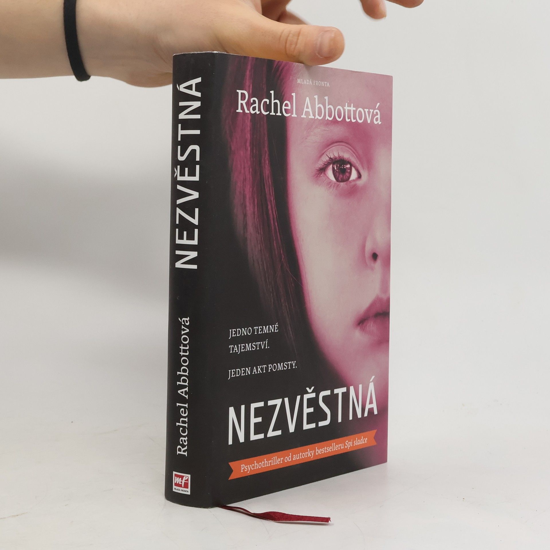 Rachel Abbott Nezvěstná