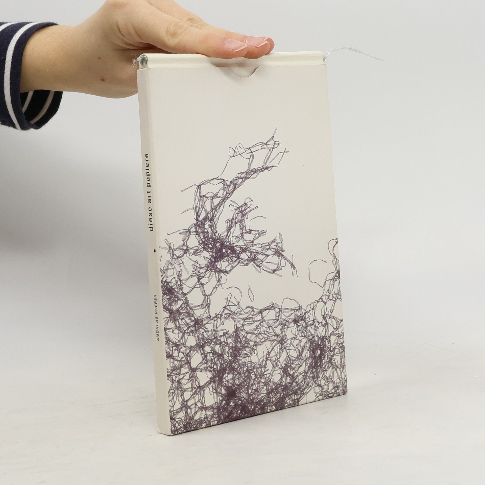 Andreas Seemer-Koeper Diese Art Papiere