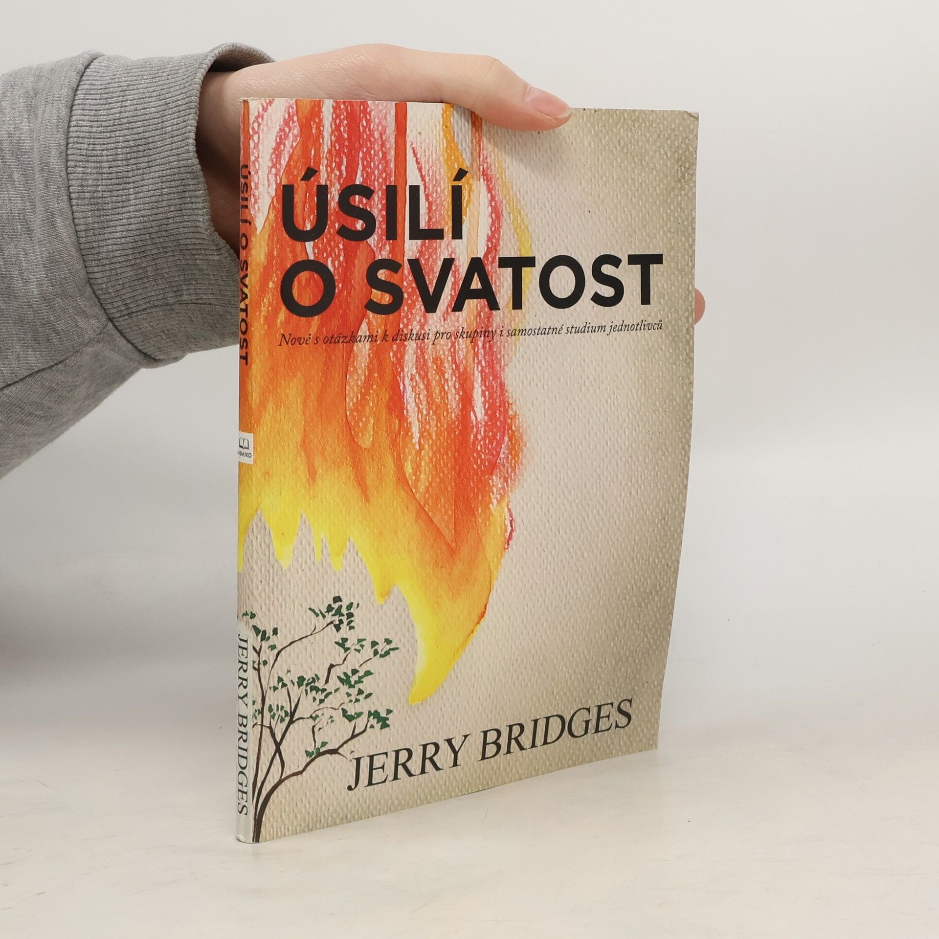 Úsilí o svatost