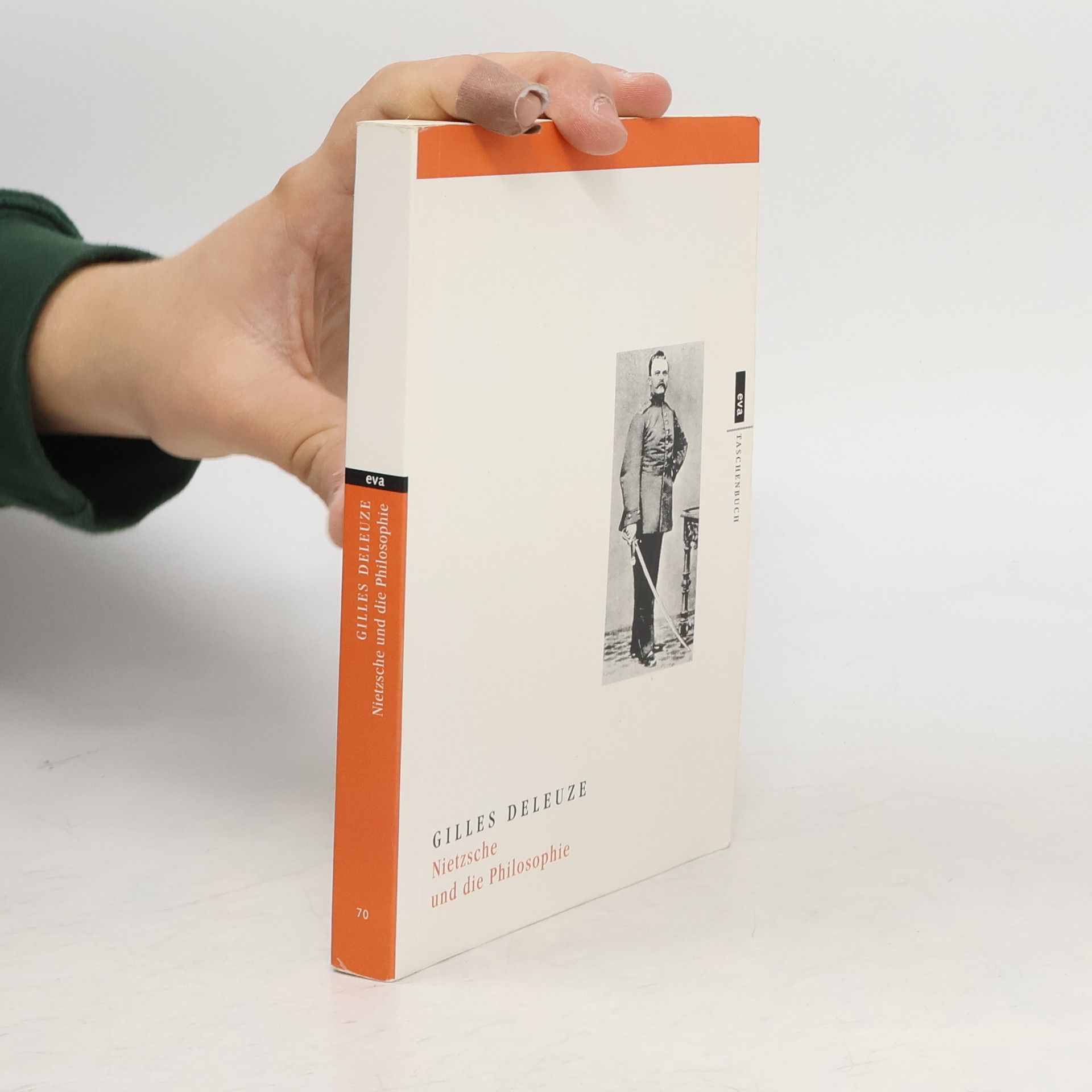 Nietzsche und die Philosophie