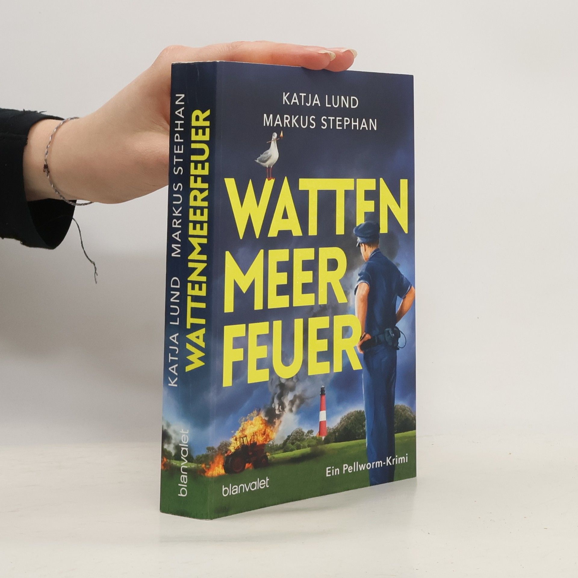 AA.VV. Wattenmeerfeuer