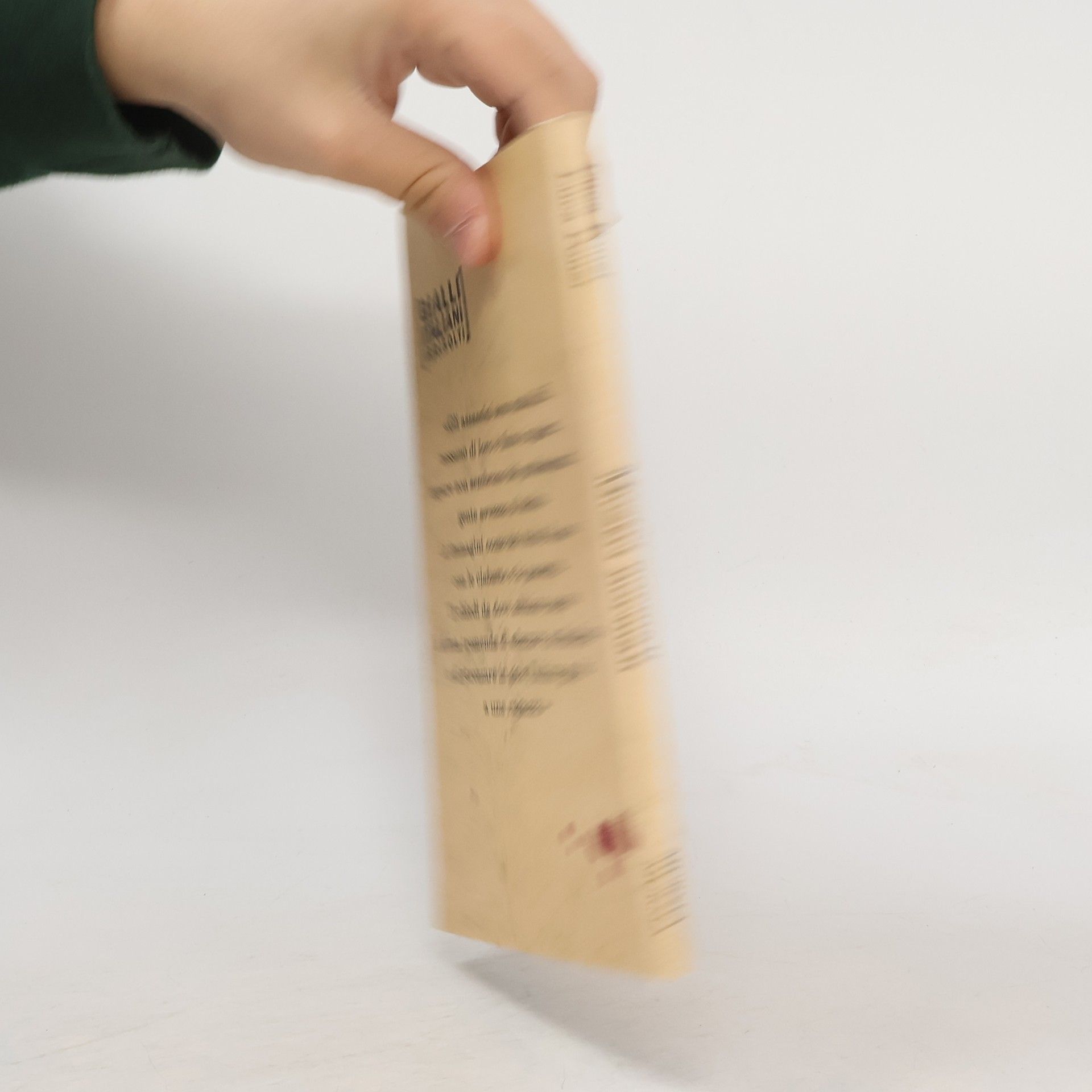 Luca Ponzi Mostri normali