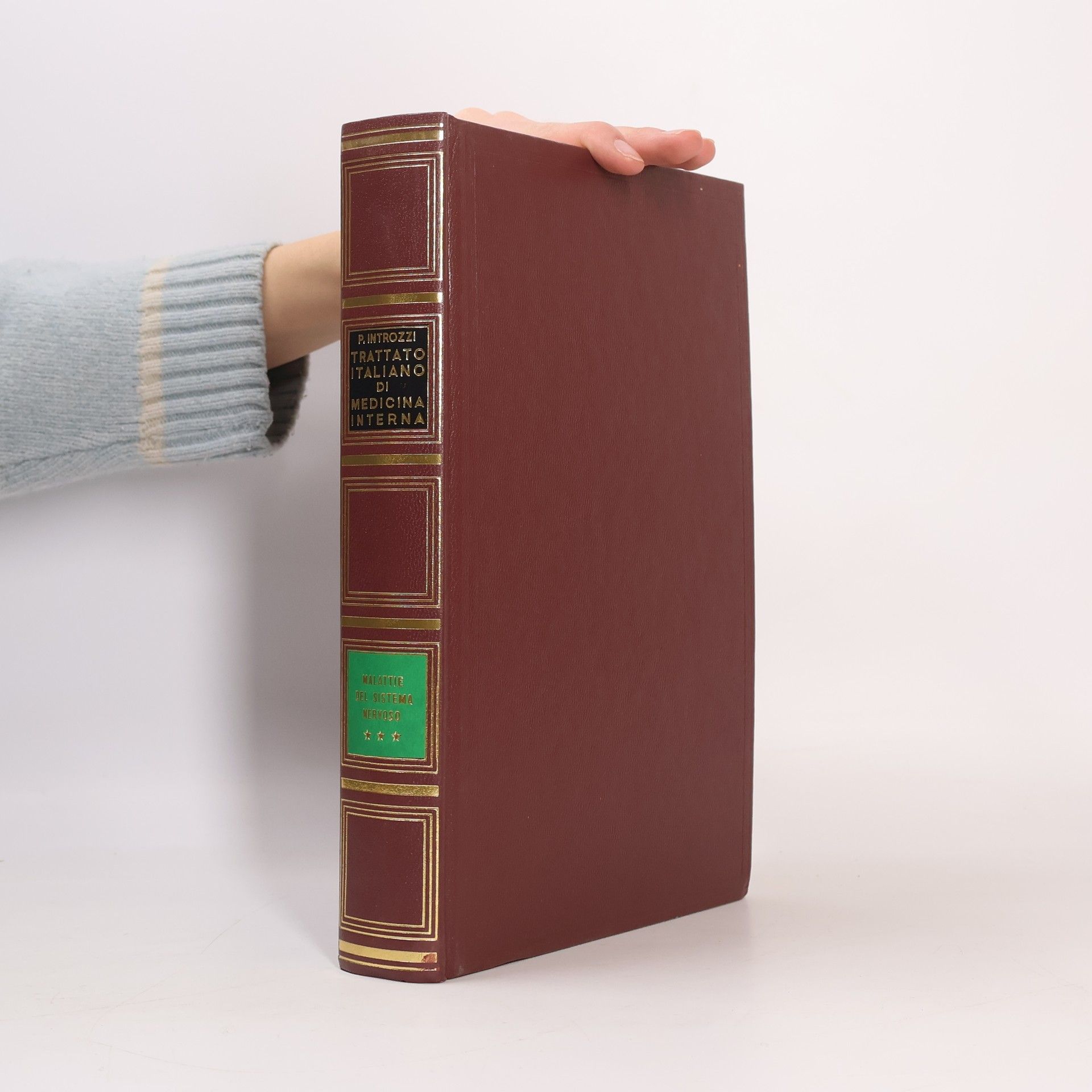 Paolo Introzzi Trattato italiano di medicina interna