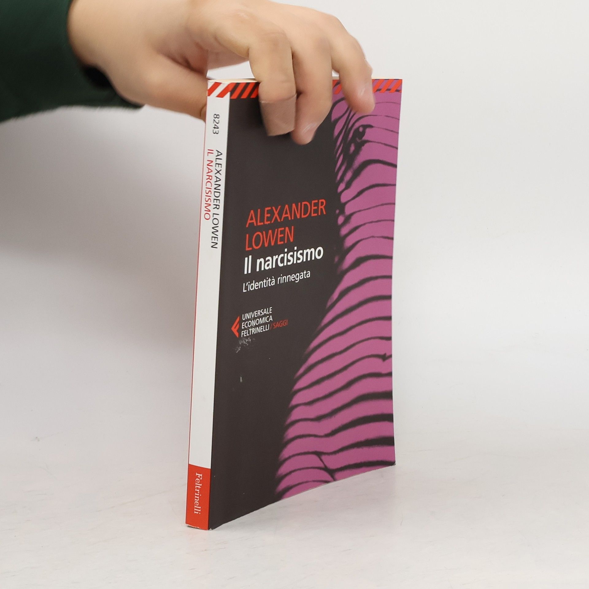 Stefano Magagnoli Il narcisismo