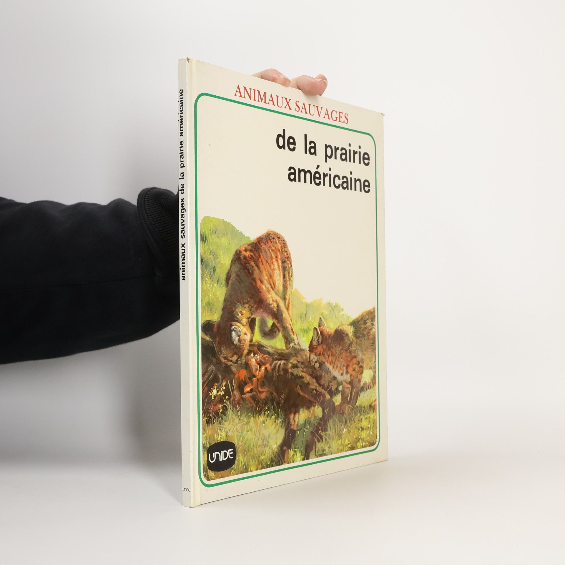 Collectif d'auteurs Animaux Sauvages de la prairie américaine