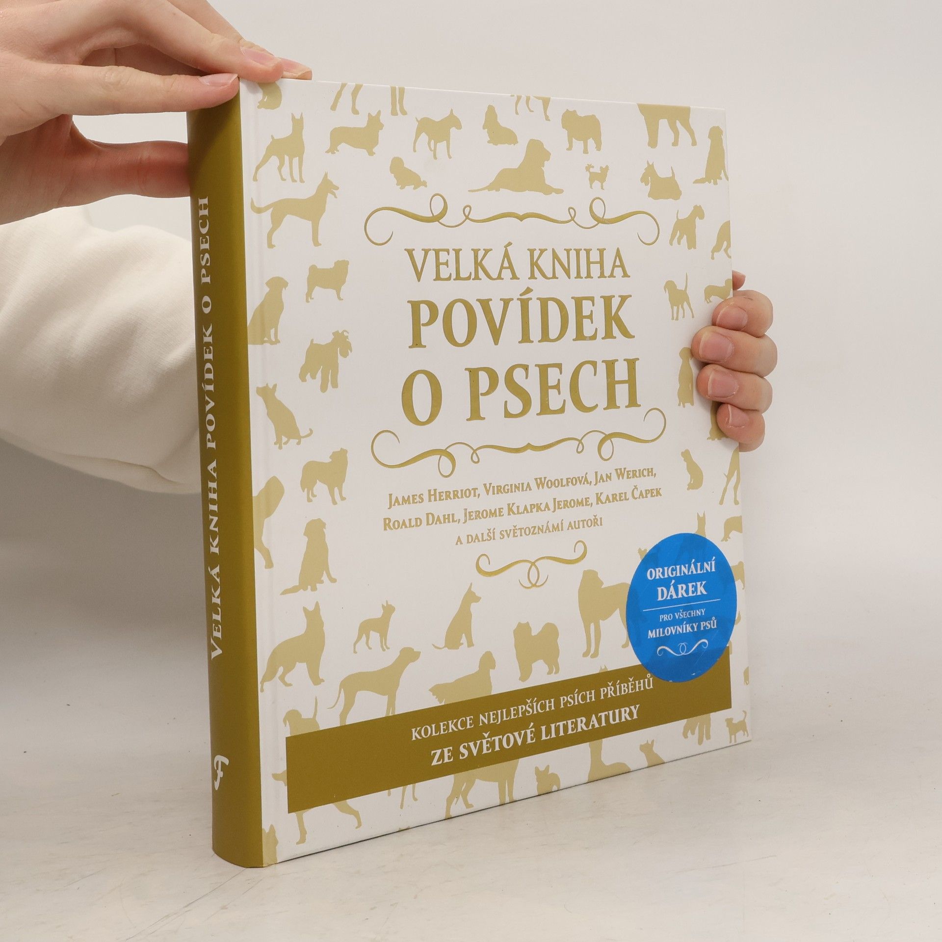 Auteurscollectief Velká kniha povídek o psech