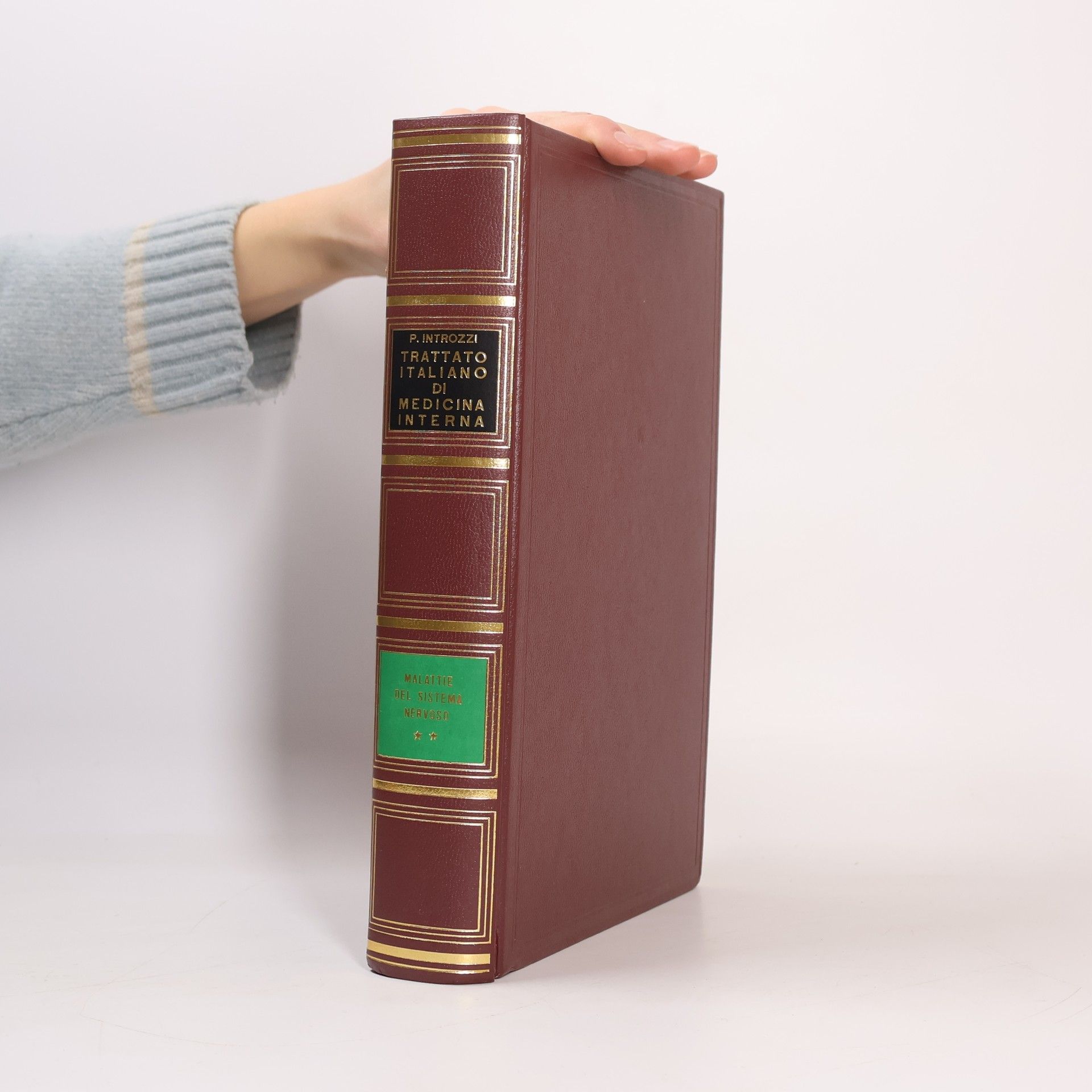 Collectif d'auteurs Trattato Italiano di Medicina Interna