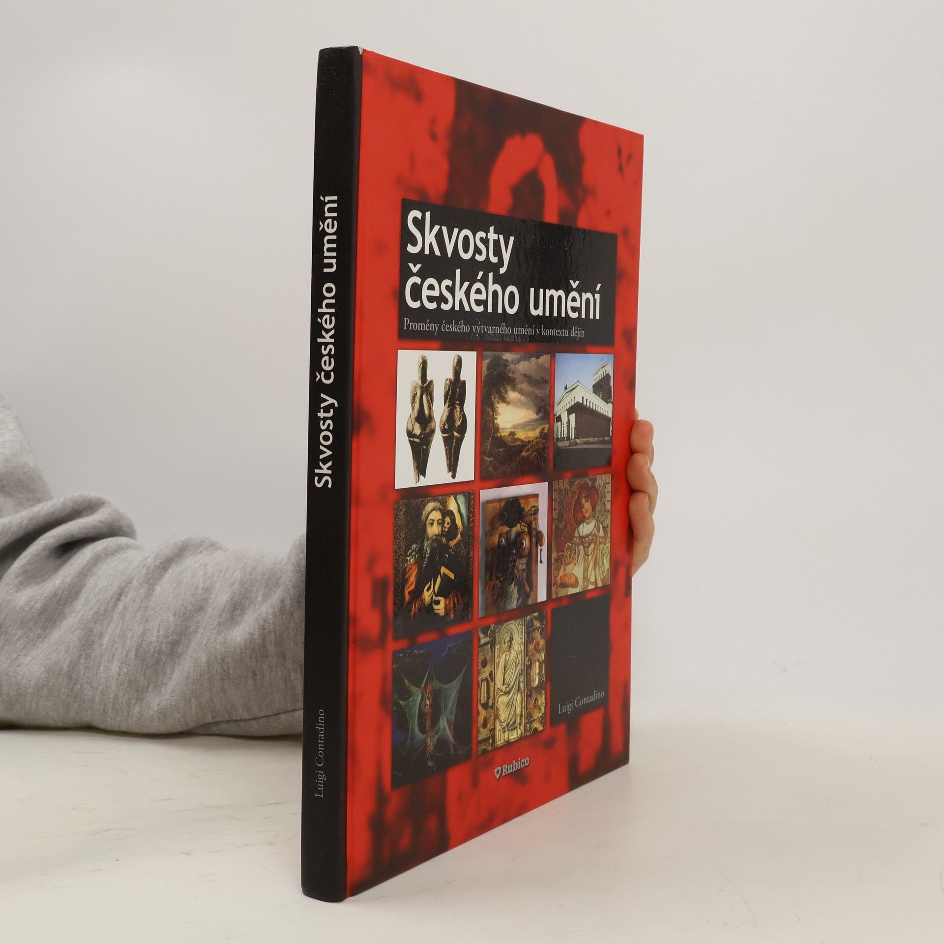 Luigi Contadino Skvosty českého umění : proměny českého výtvarného umění v kontextu dějin