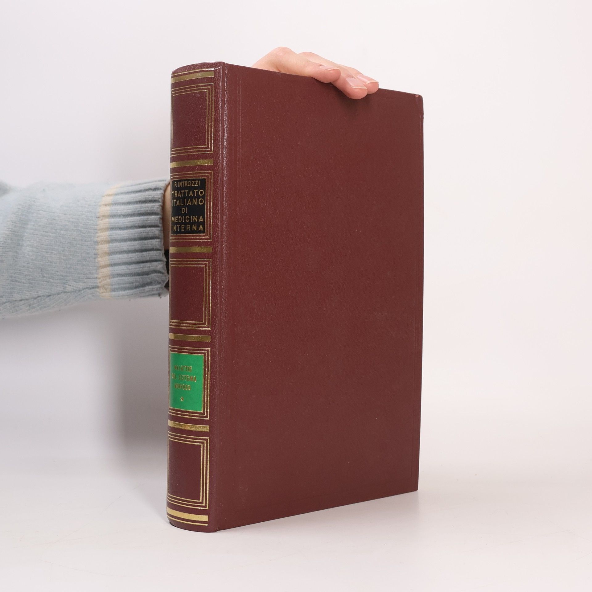 Paolo Introzzi Trattato italiano di medicina interna