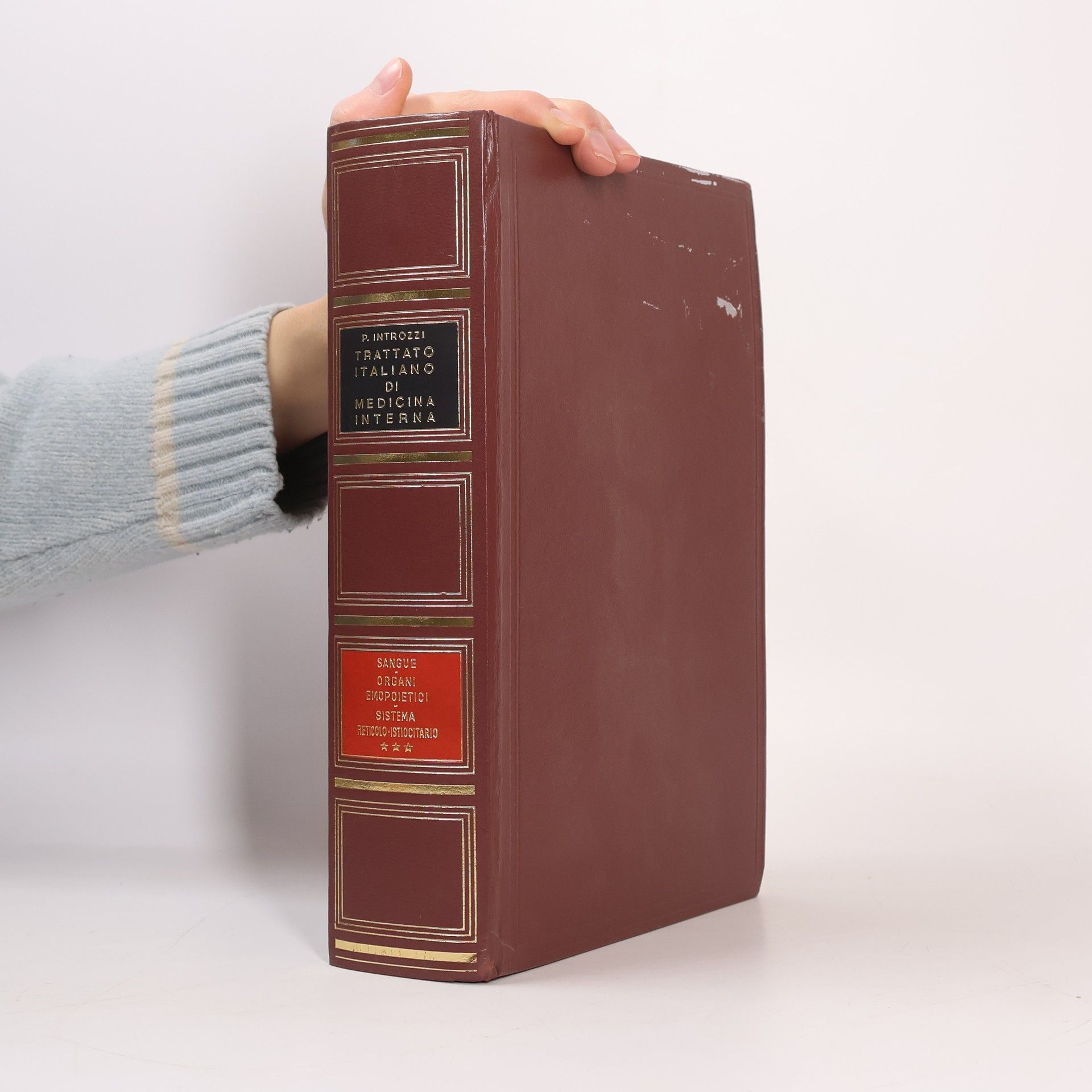 Paolo Introzzi Trattato Italiano di Medicina Interna