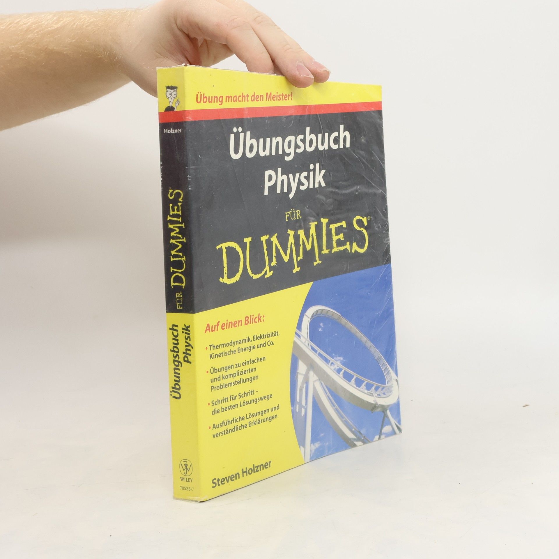 Steven Holzner Übungsbuch Physik für Dummies