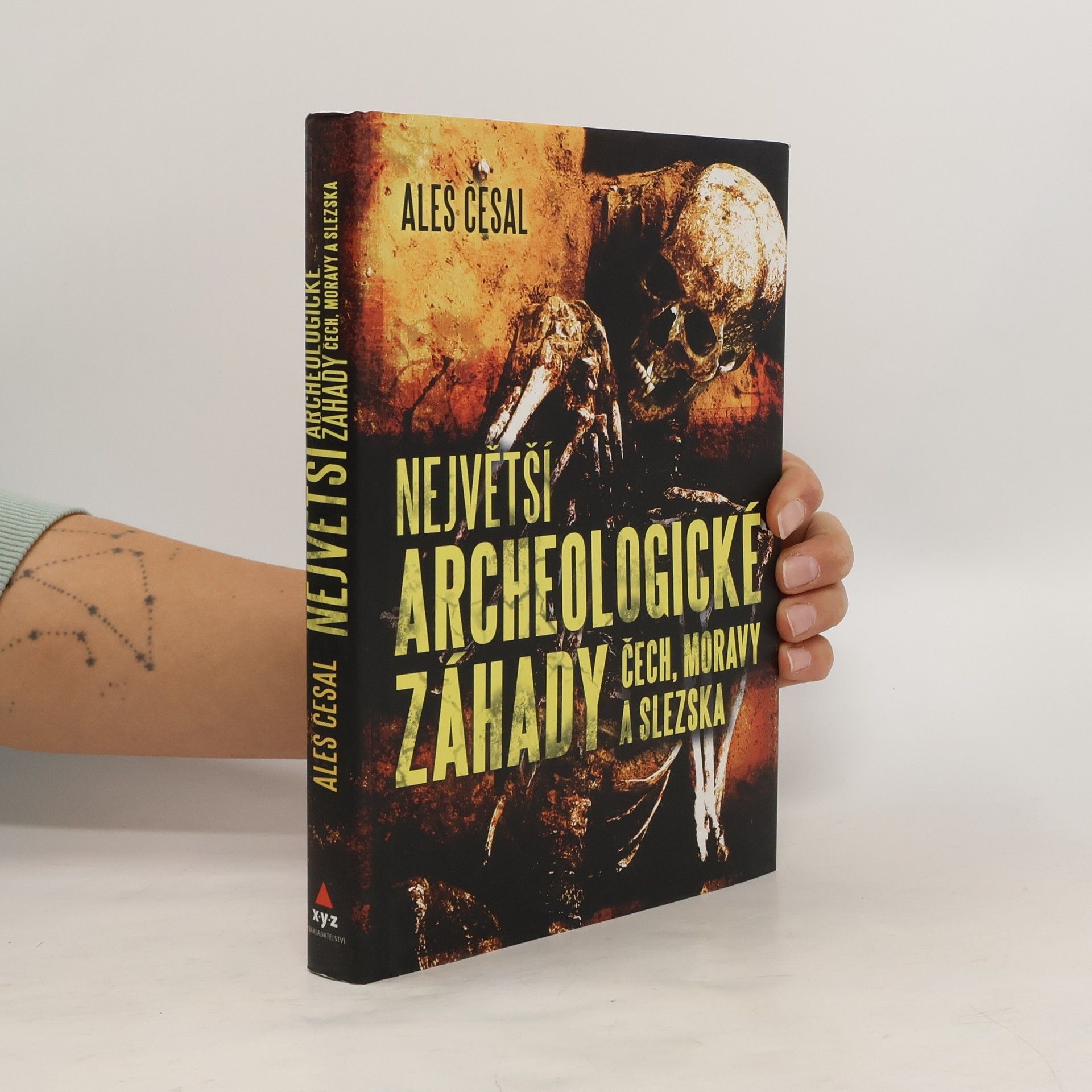 Aleš Česal Největší archeologické záhady Čech, Moravy a Slezska