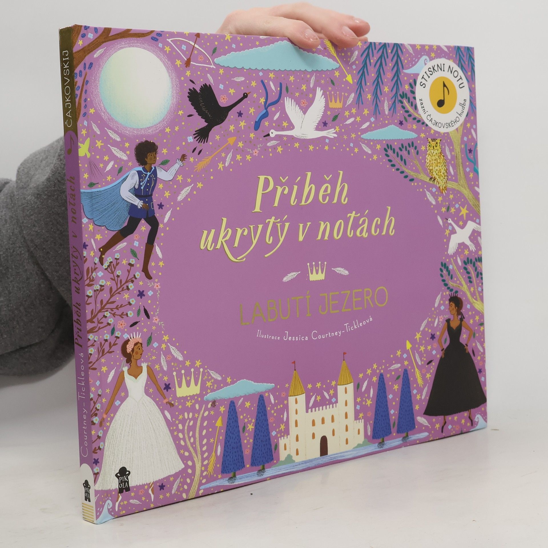 Labutí jezero. Příběh ukrytý v notách