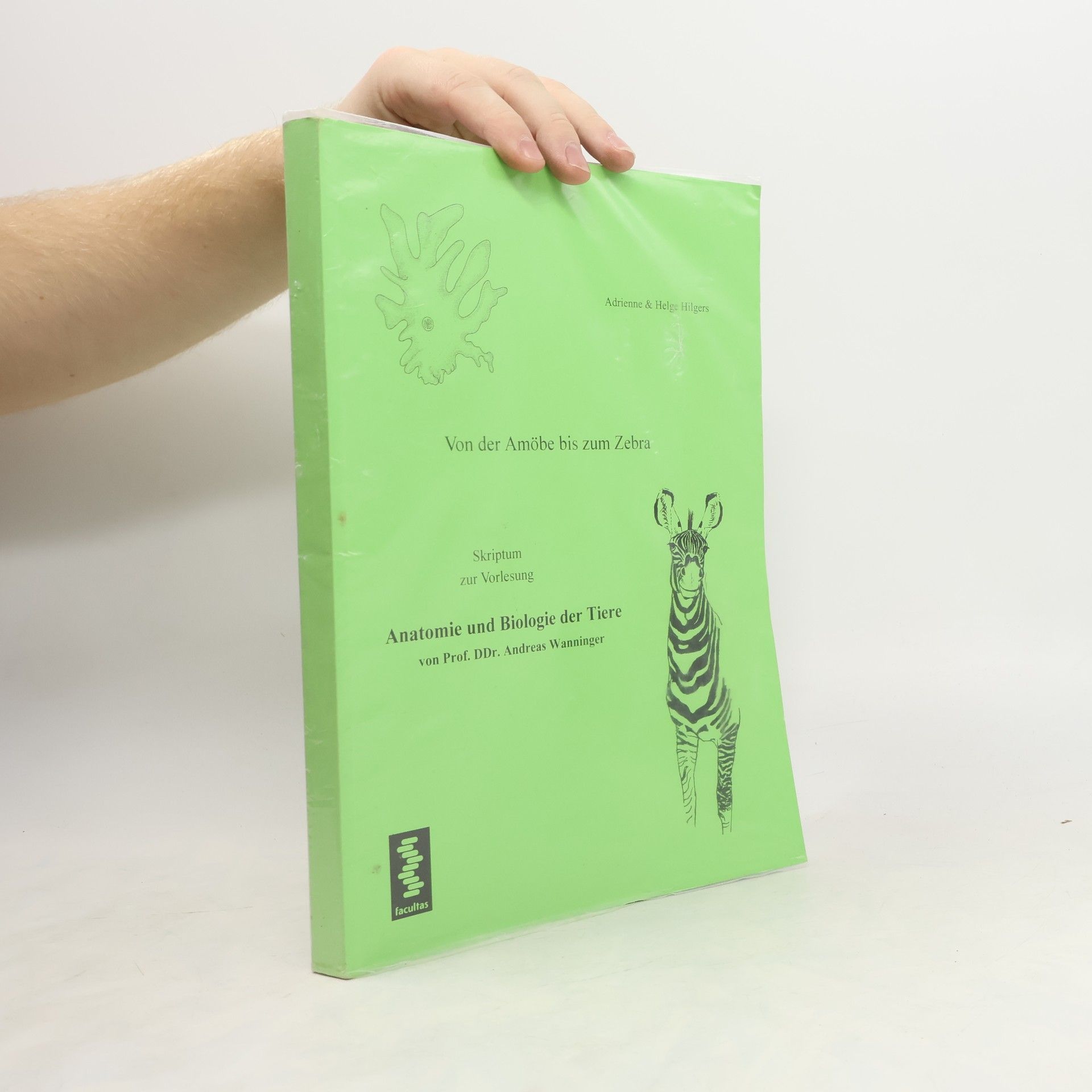 Anatomie und Biologie der Tiere