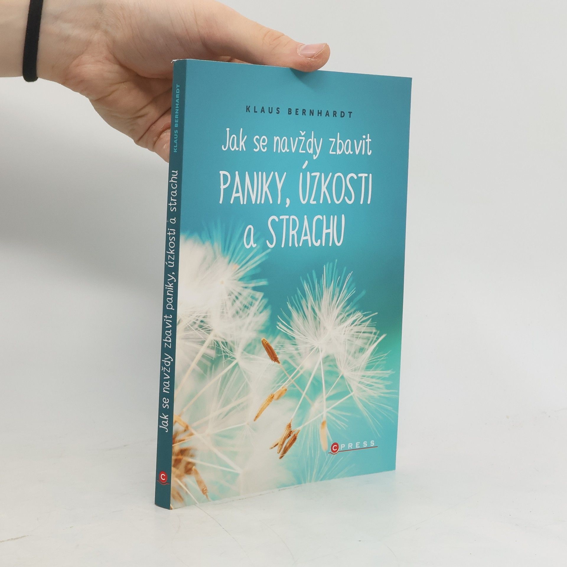 Klaus Bernhardt Jak se navždy zbavit paniky, úzkosti a strachu