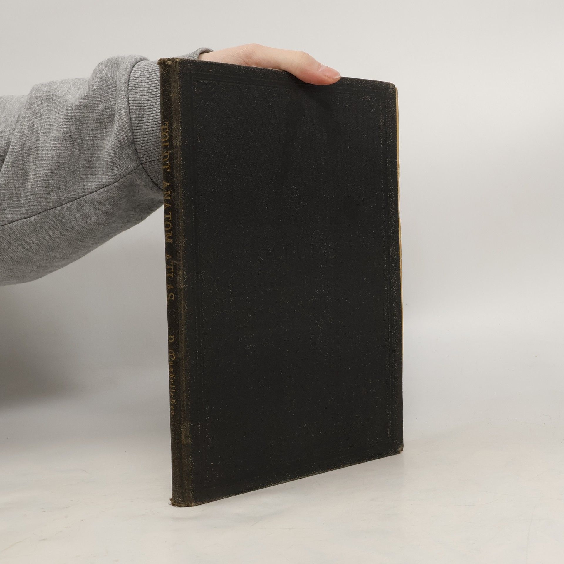 Carl Toldt Anatomischer Atlas für Studierende und Ärzte