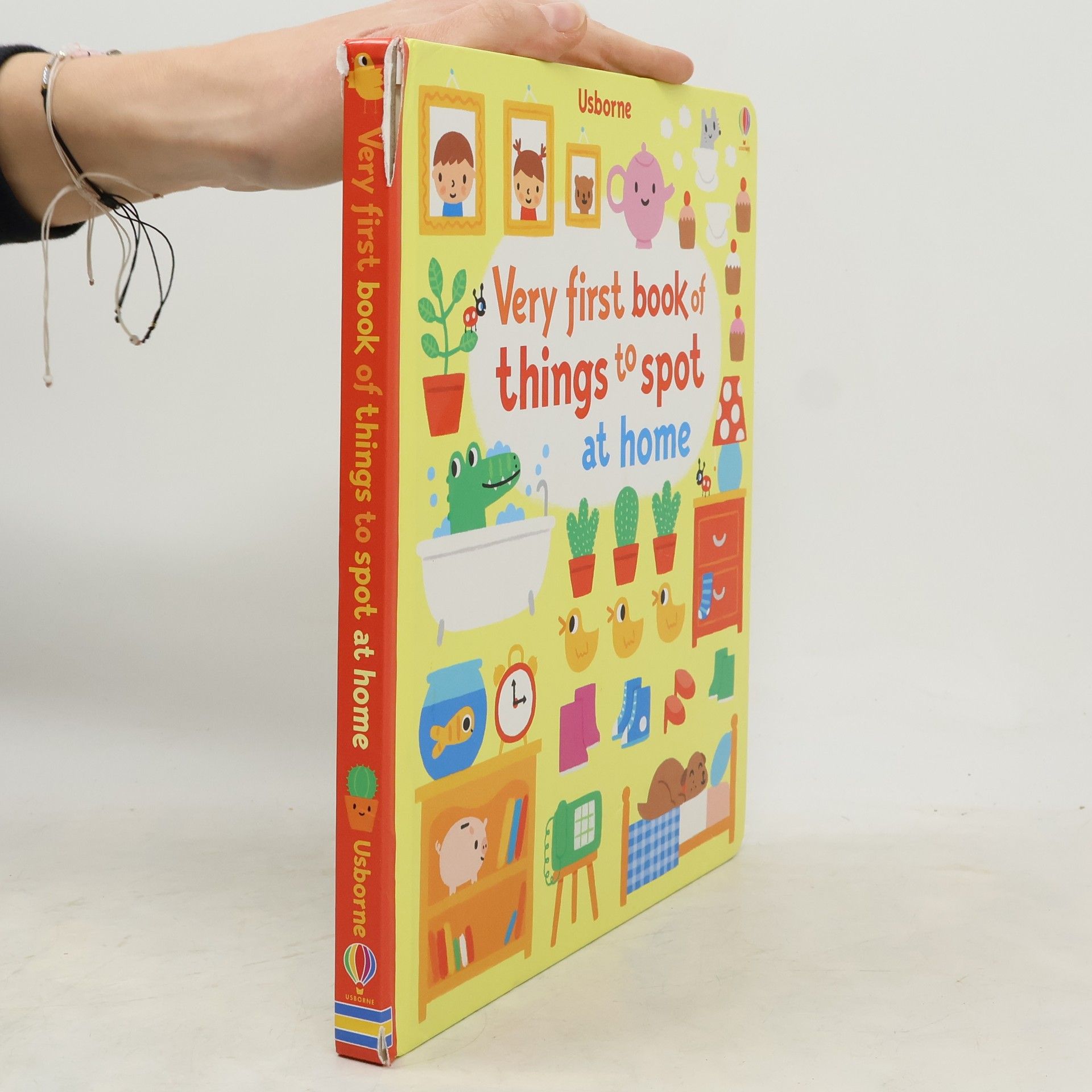 Very first book of things to spot at home