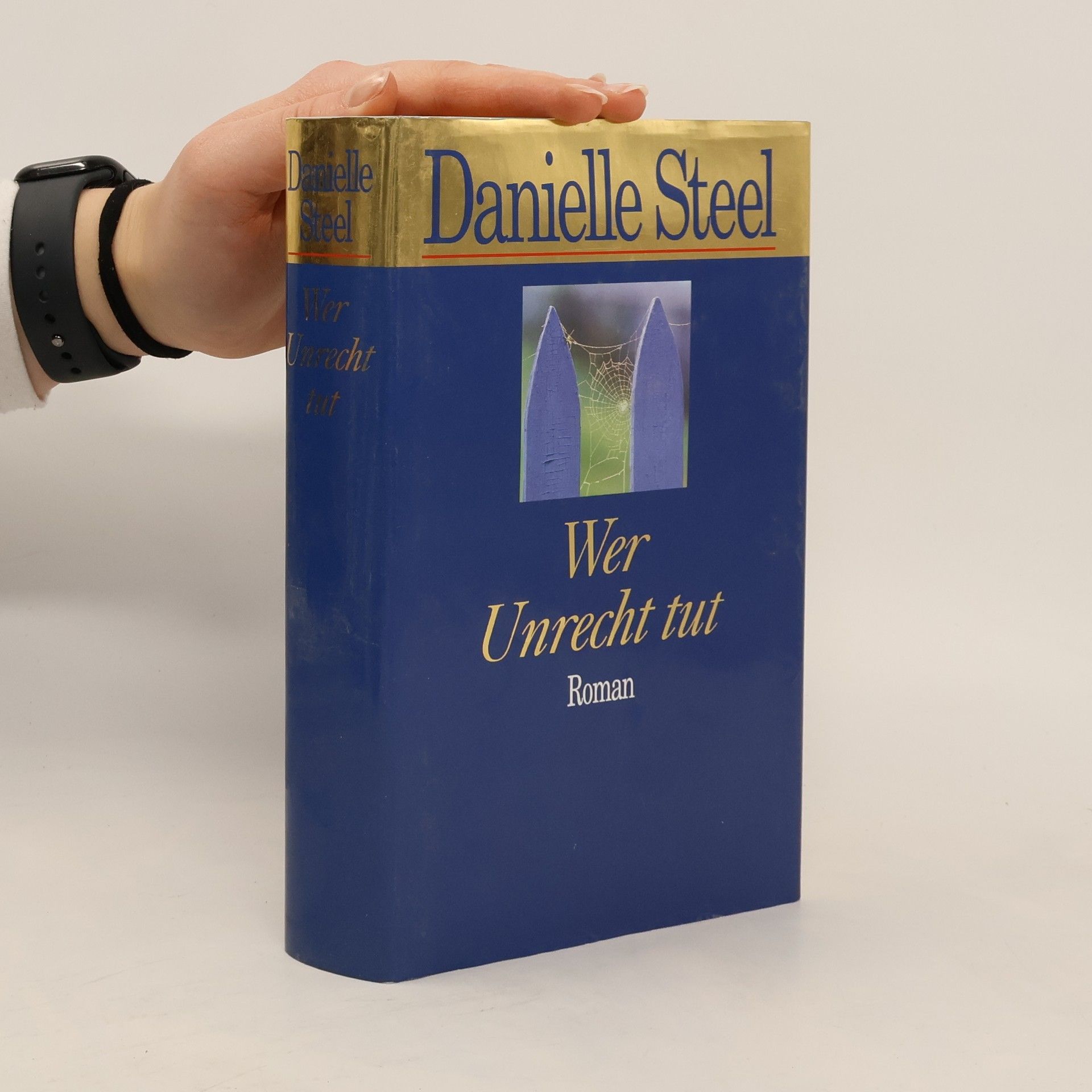 Danielle Steel Wer Unrecht tut