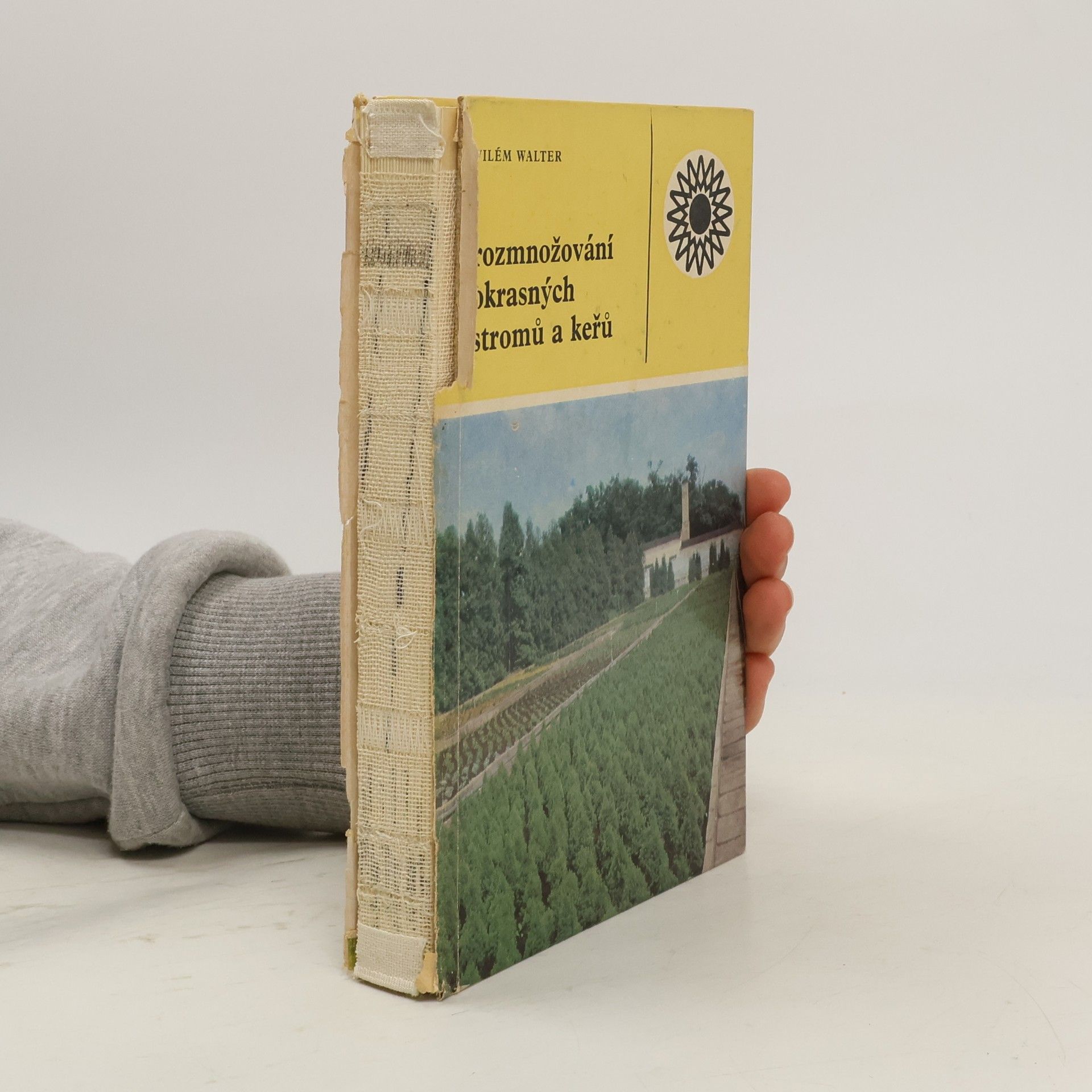 Vilém Walter Rozmnožování okrasných stromů a keřů