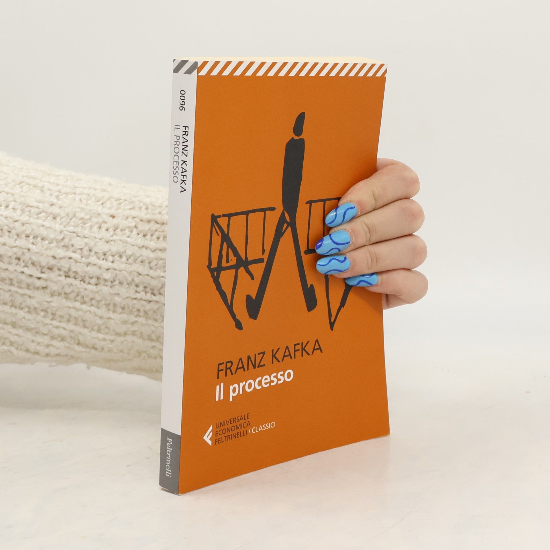 Anita Raja Il processo