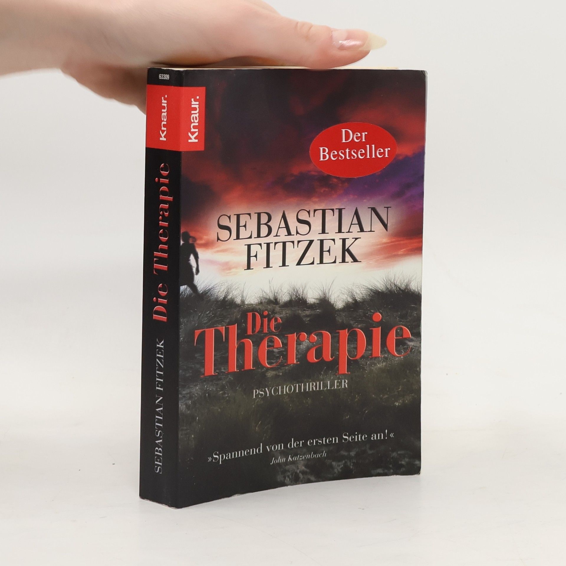 Sebastian Fitzek Die Therapie