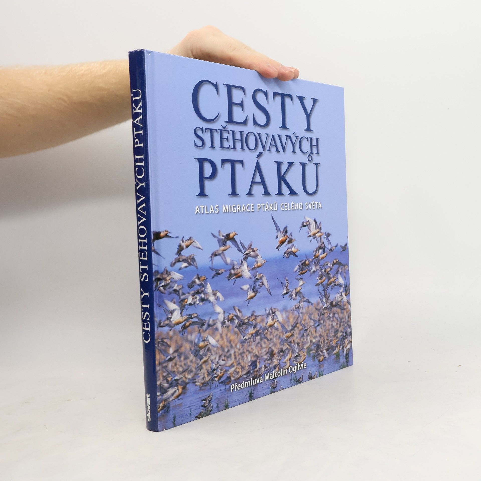 Jonathan Elphick Cesty stěhovavých ptáků