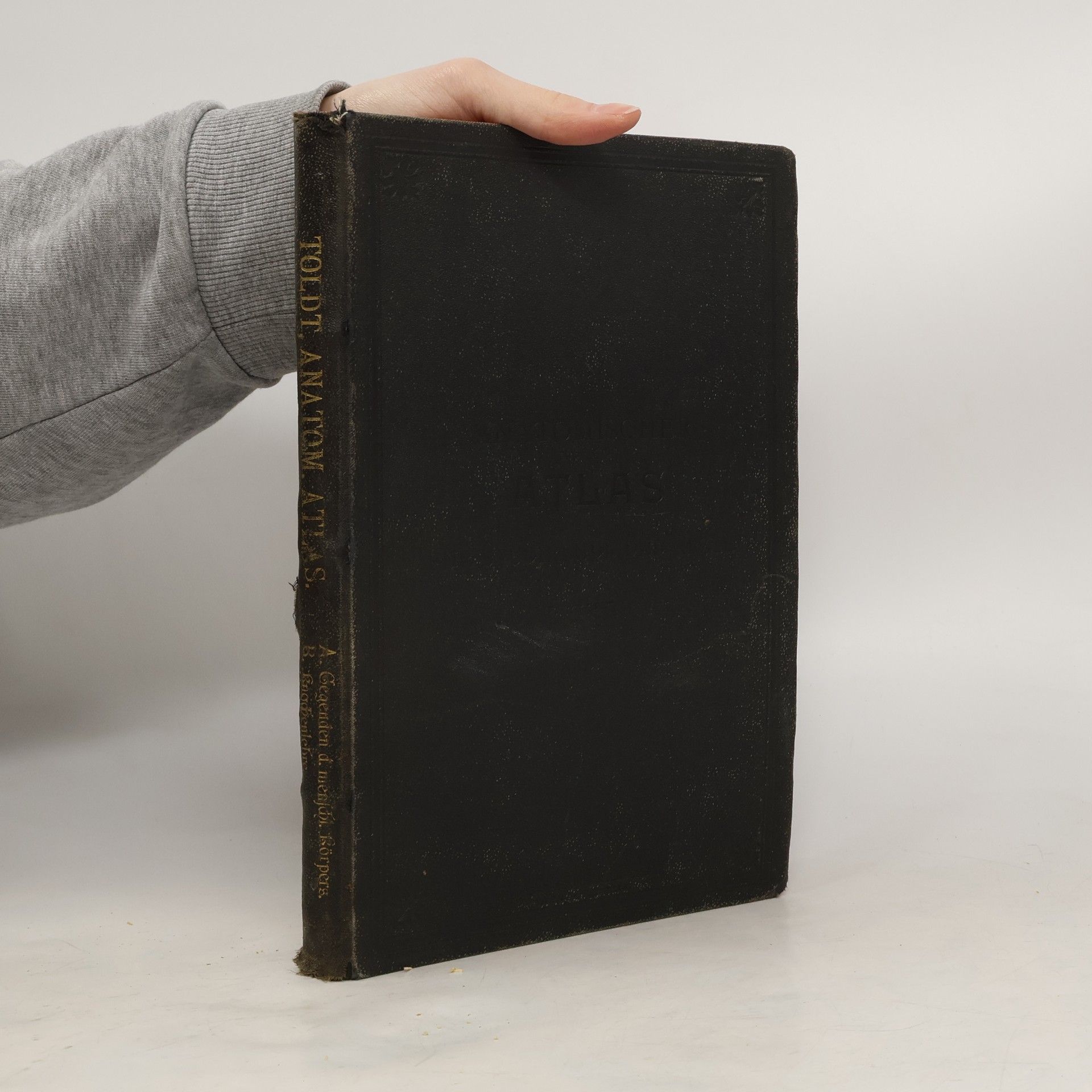 Anatomischer Atlas für Studirende und Ärzte. Die Gegenden des Menschlichen Körpers. Die Knochenlehre