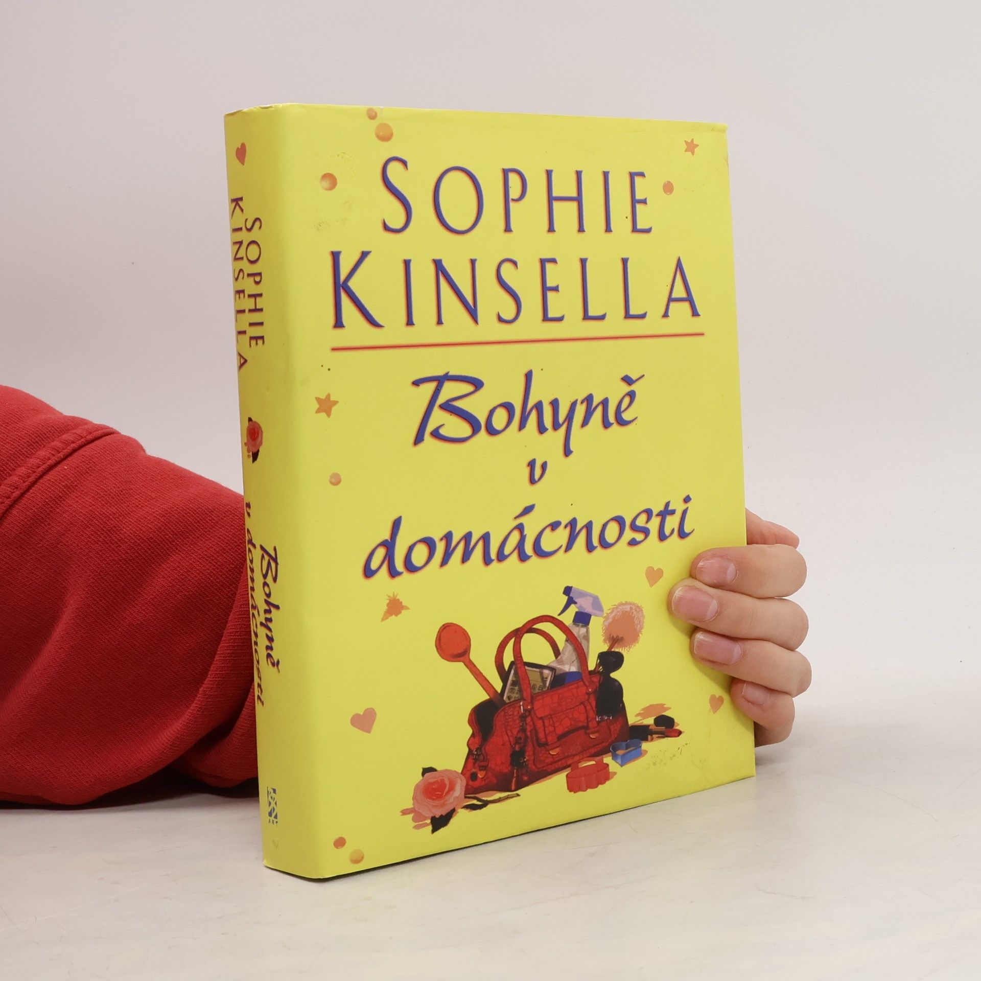 Sophie Kinsella Bohyně v domácnosti