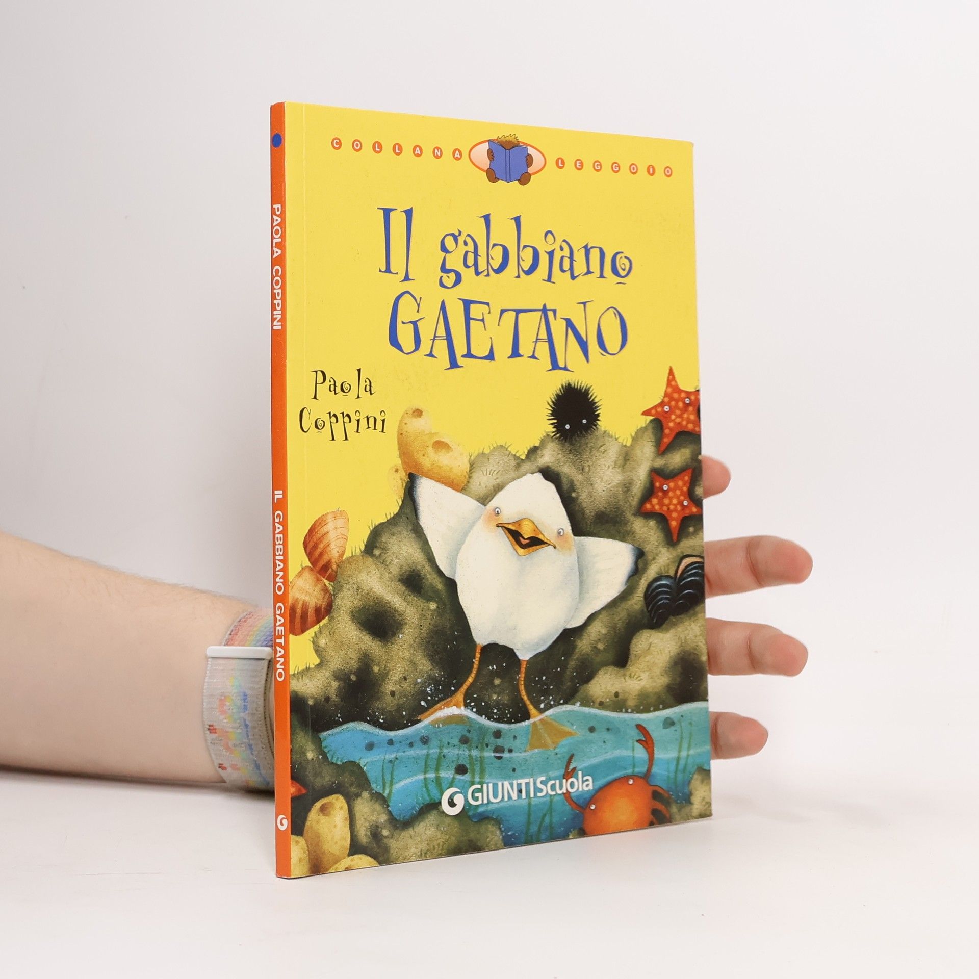 Paola Coppini Il gabbiano Gaetano